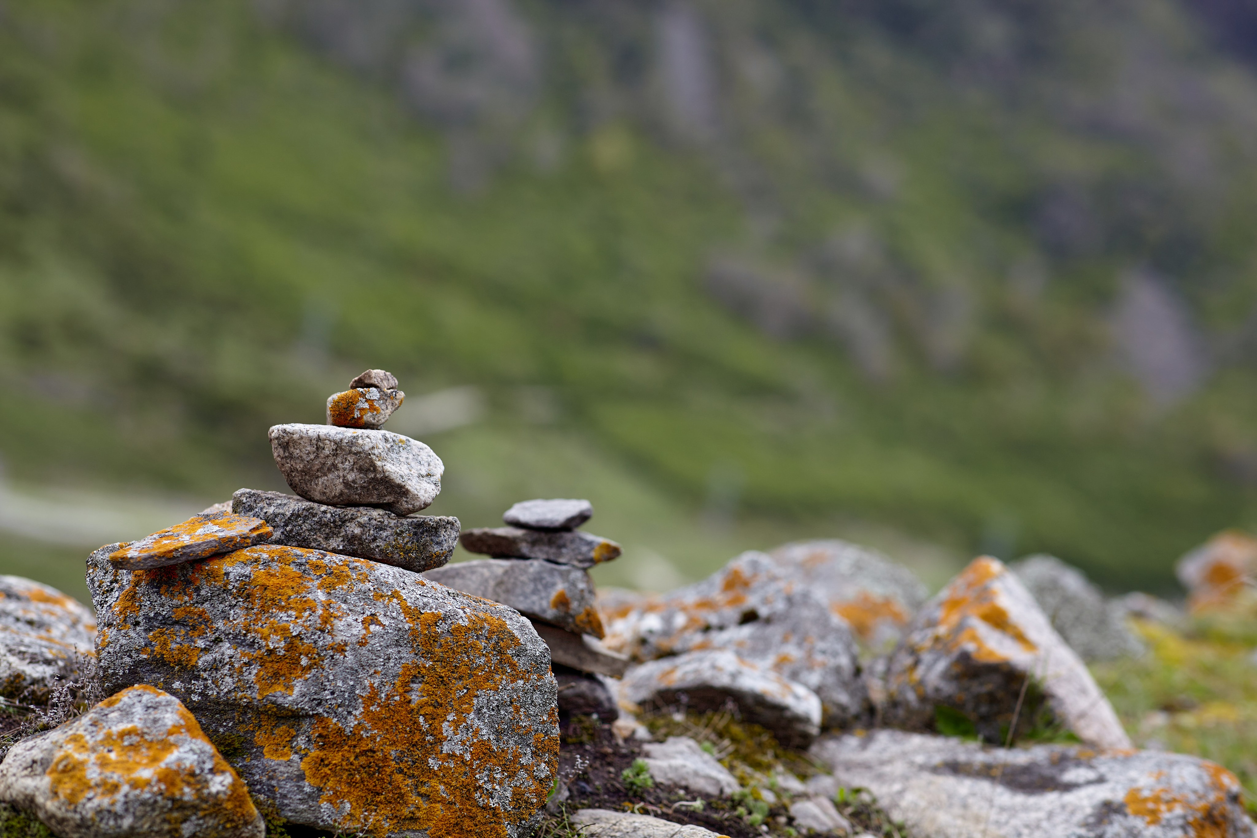 Natura. Портретный фотограф в Москве Виталий Пересветов