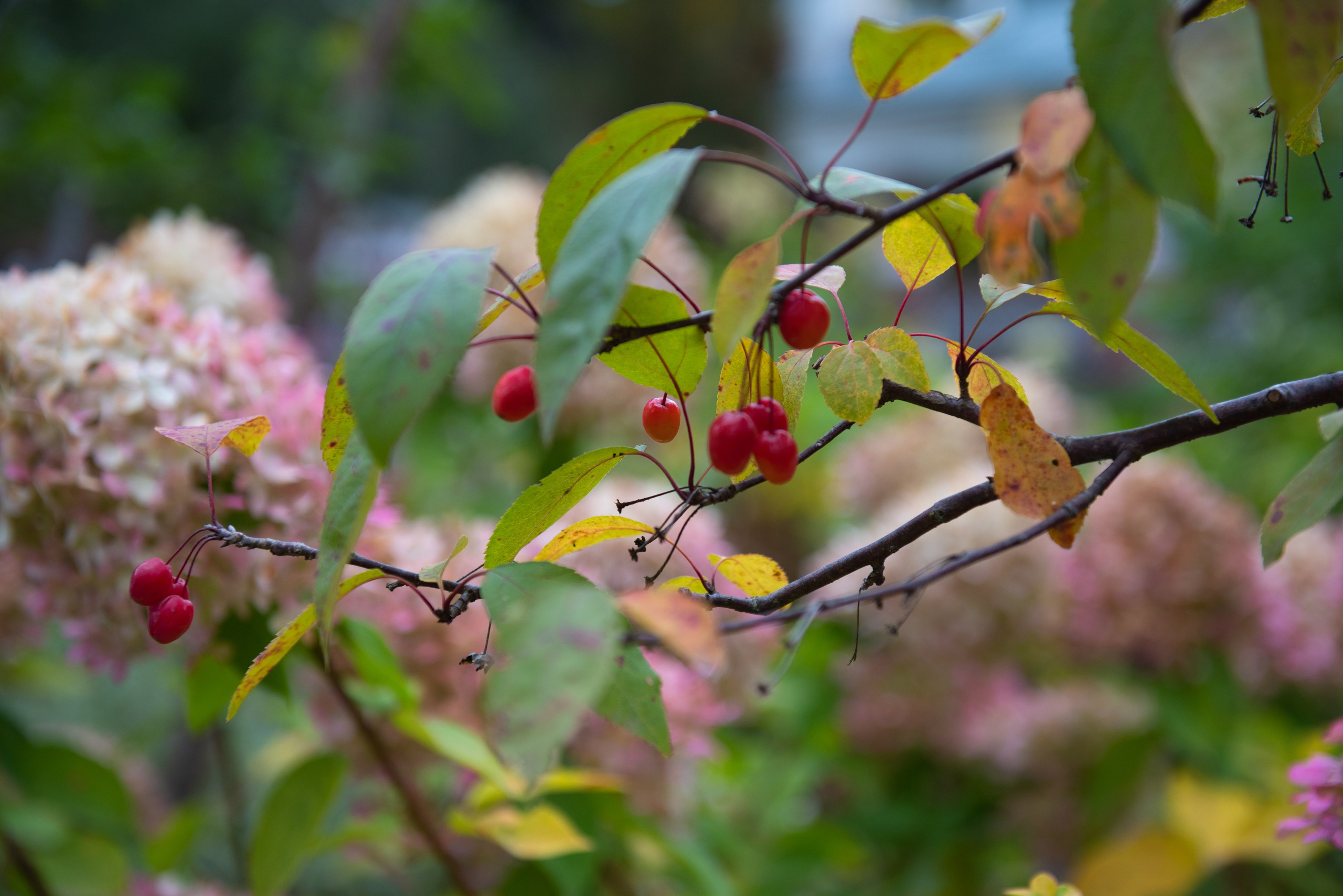 Печоры. Портретный и архитектурный фотограф в Москве и Санкт-Петербурге