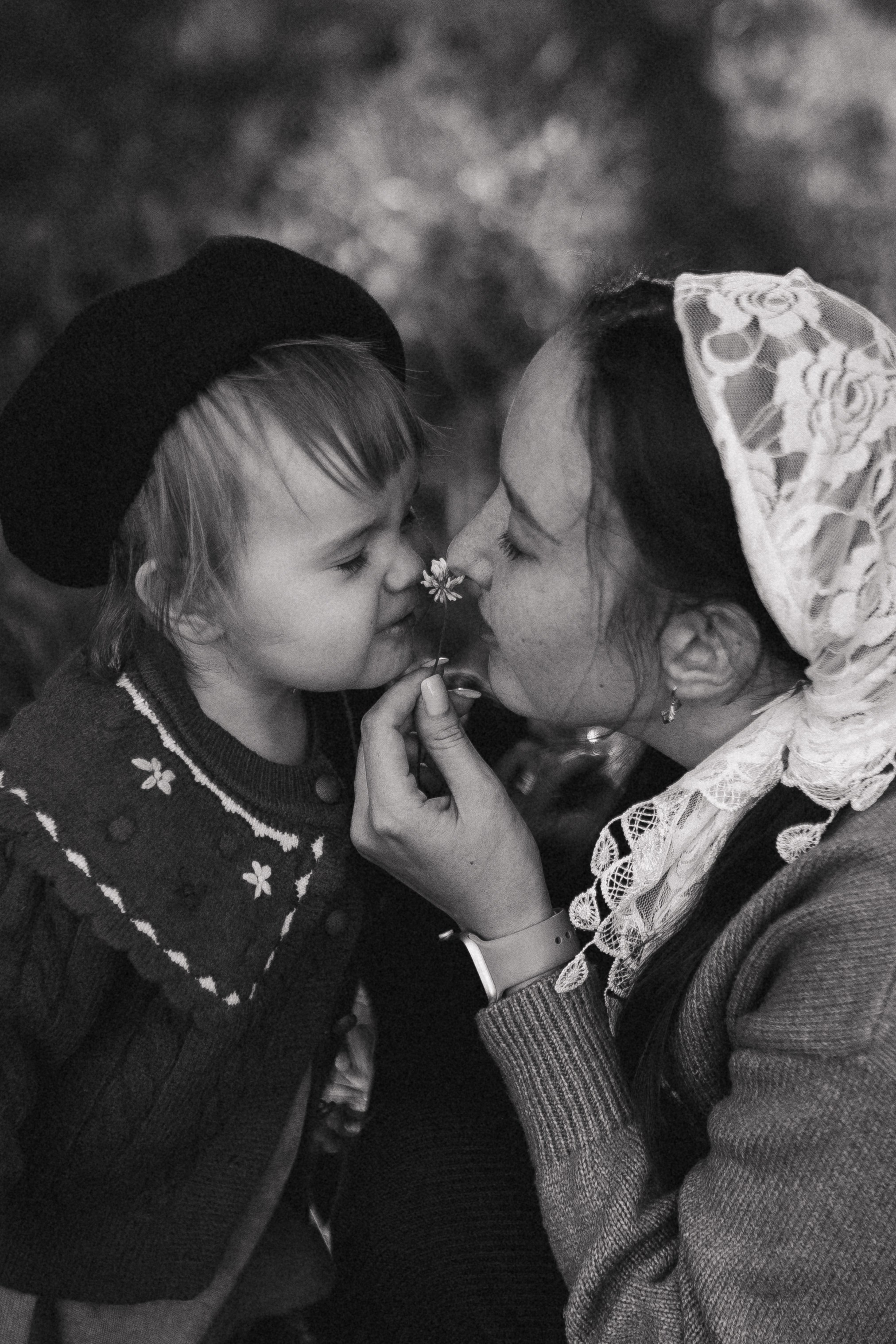 София и Мира. Главная