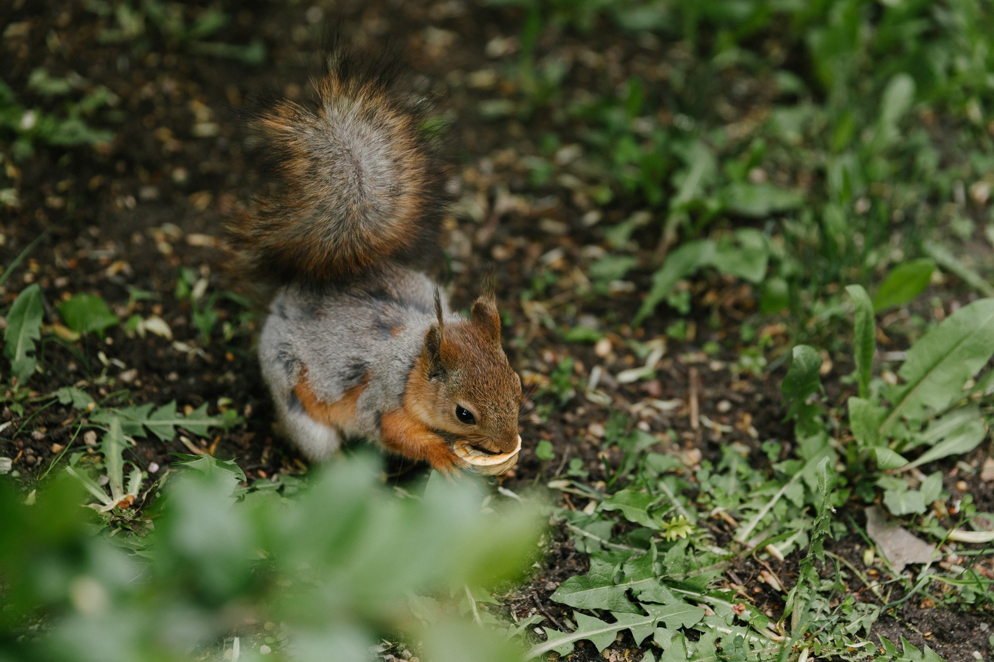 Вероника и Артем. Фотограф-видеограф в Москве