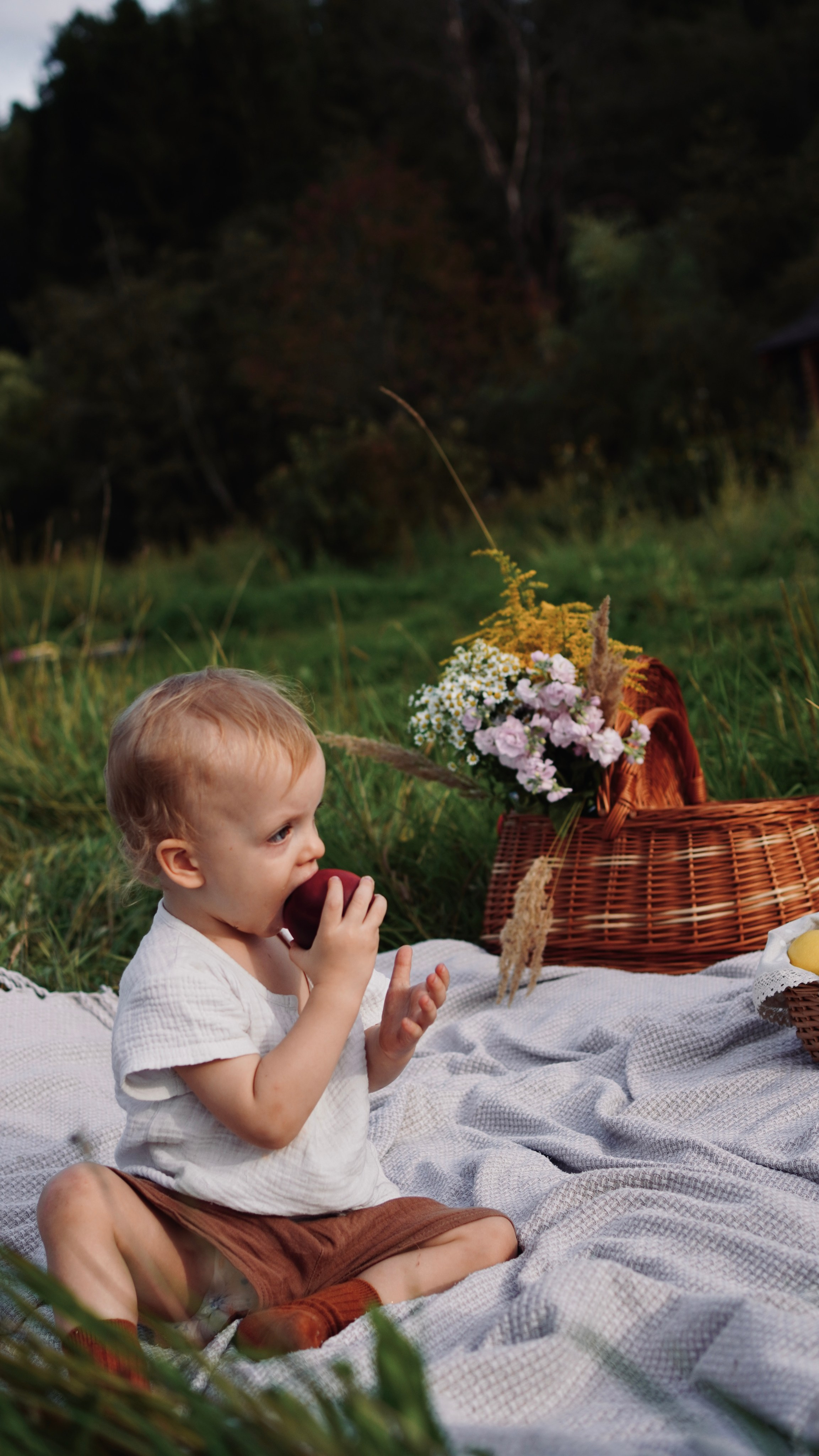 Прогулка в августе. Семейный и детский фотограф в Зеленограде Коваленко Дарья. Съемка праздников и выпускных, дней рождений