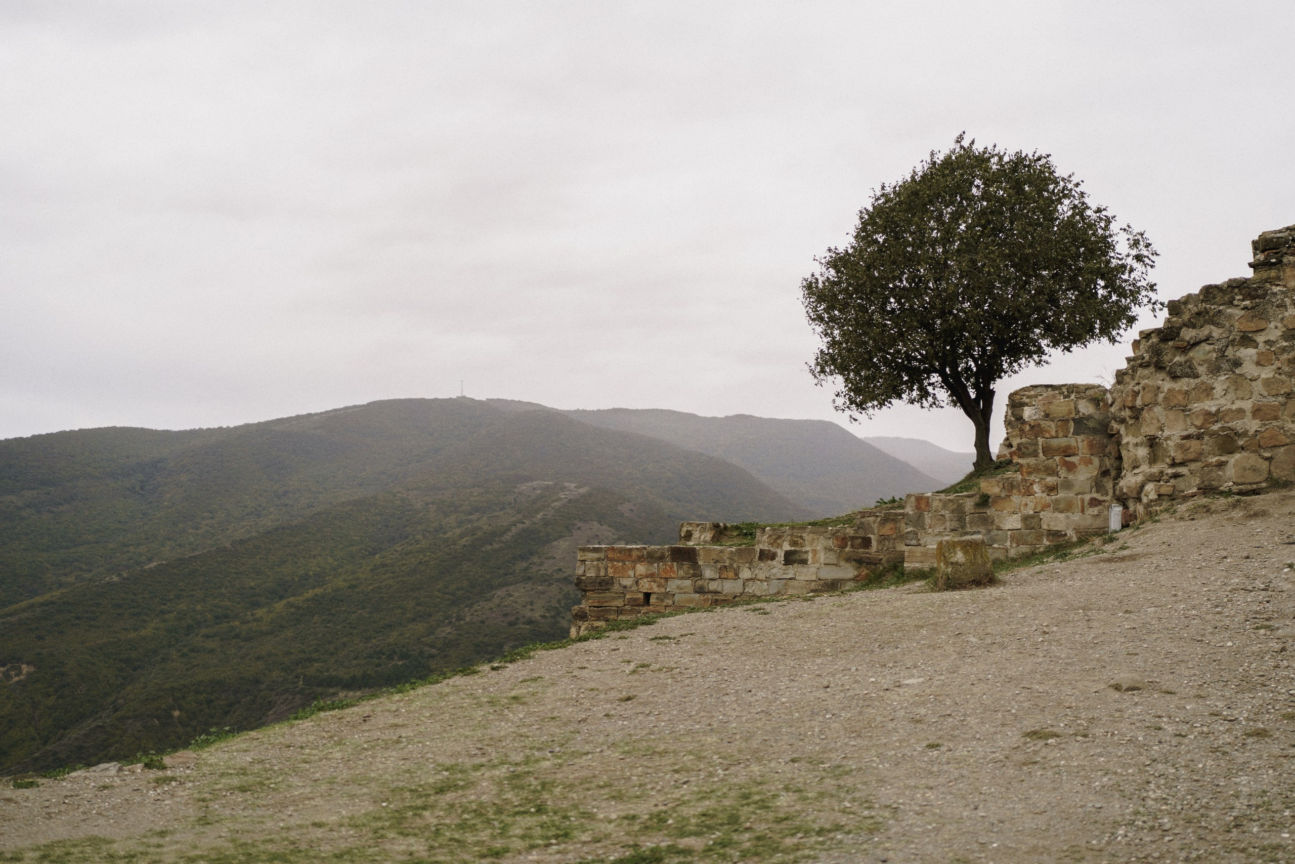 Мцхета: Игорь и Анна. Свадебный и индивидуальный фотограф Татьяна Гуляева