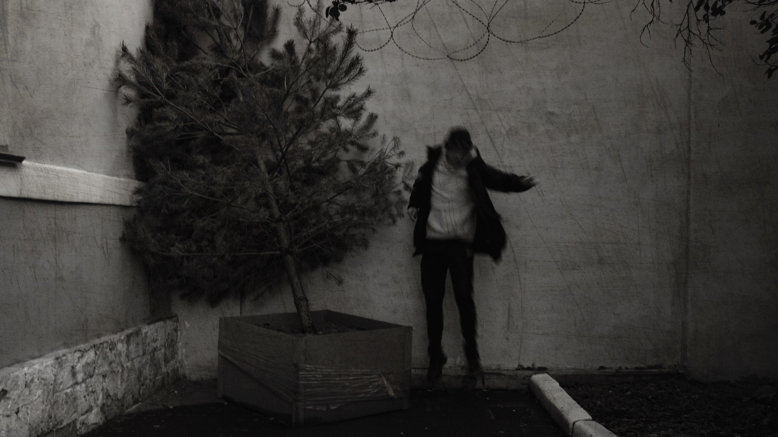 Вова. Портретный и свадебный фотограф в Москве Александра