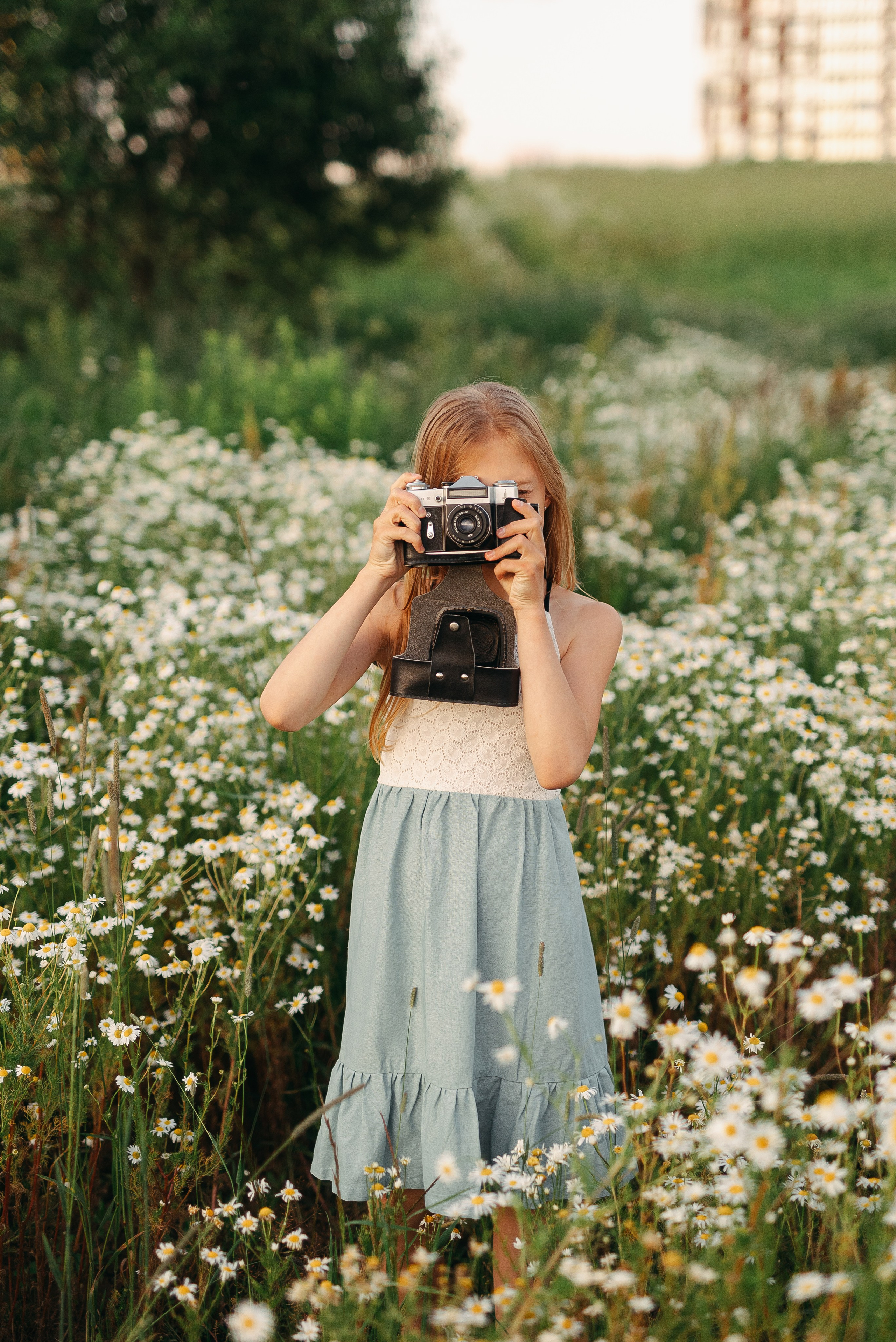 Фотосессия в ромашковом поле. Семейный детский фотограф. Фотосессия в Минске
