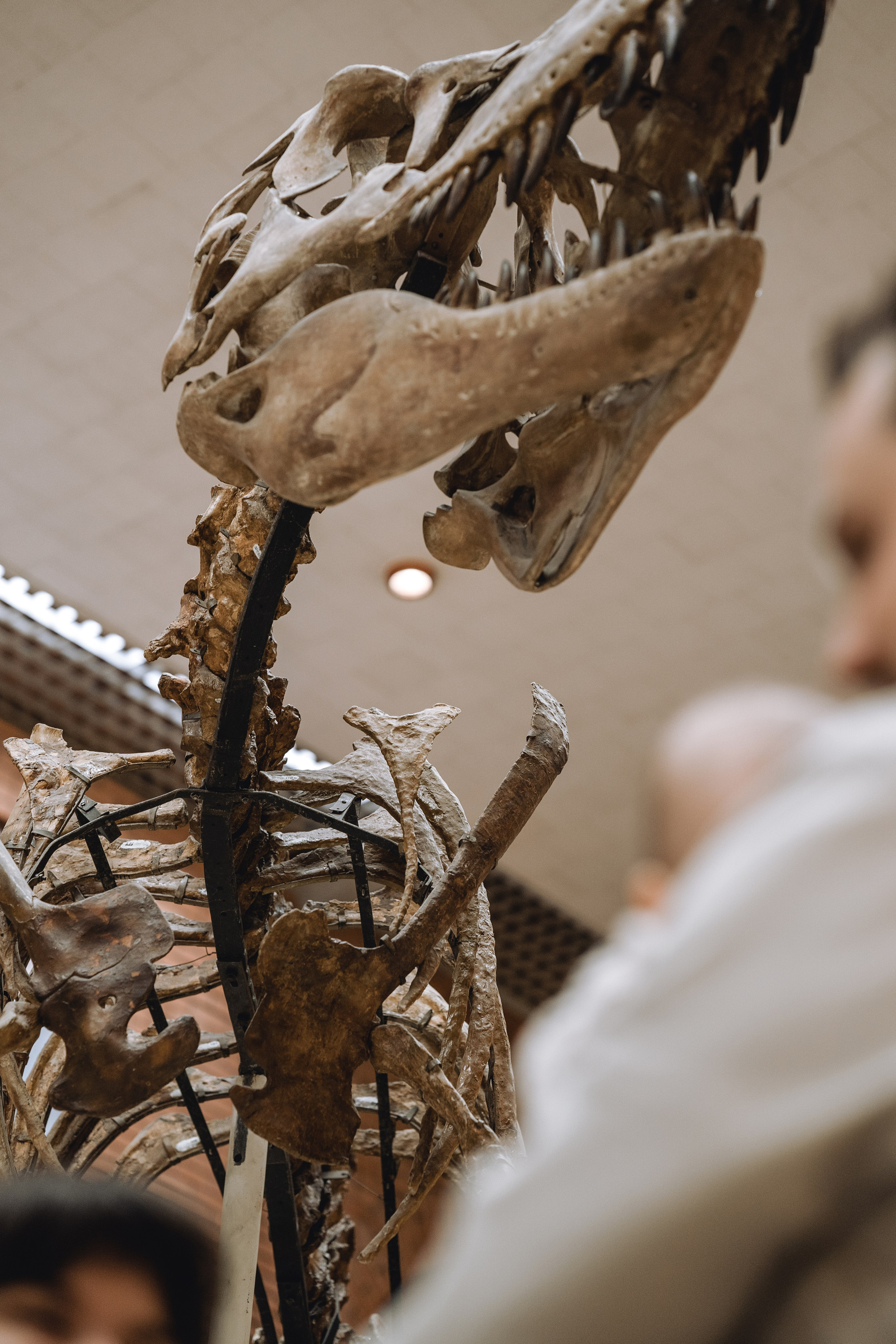 Юта и ее первый годик. Фотограф Москва. Екатерина Дударевич