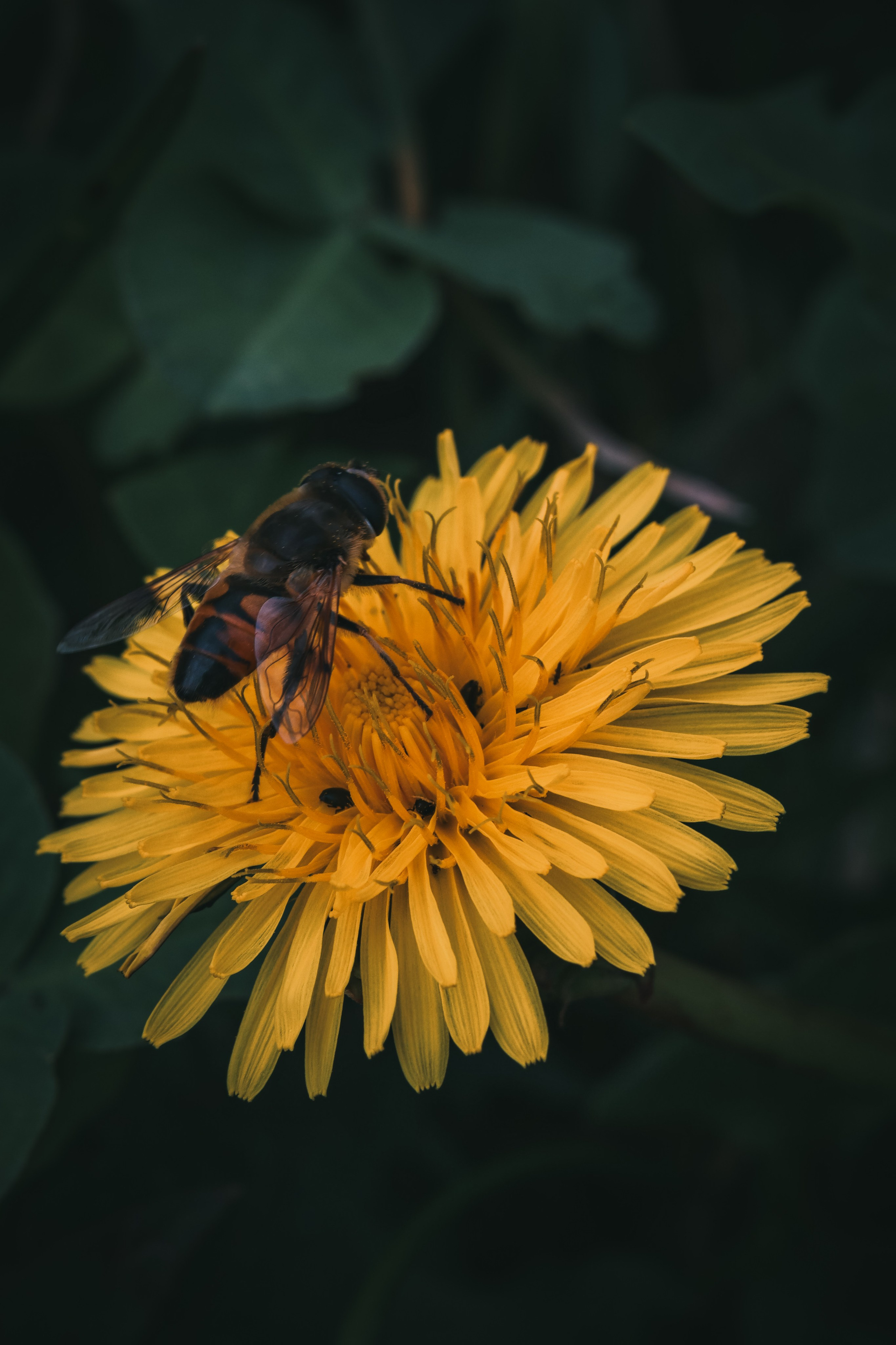 М А К Р О. — Digital Noise —