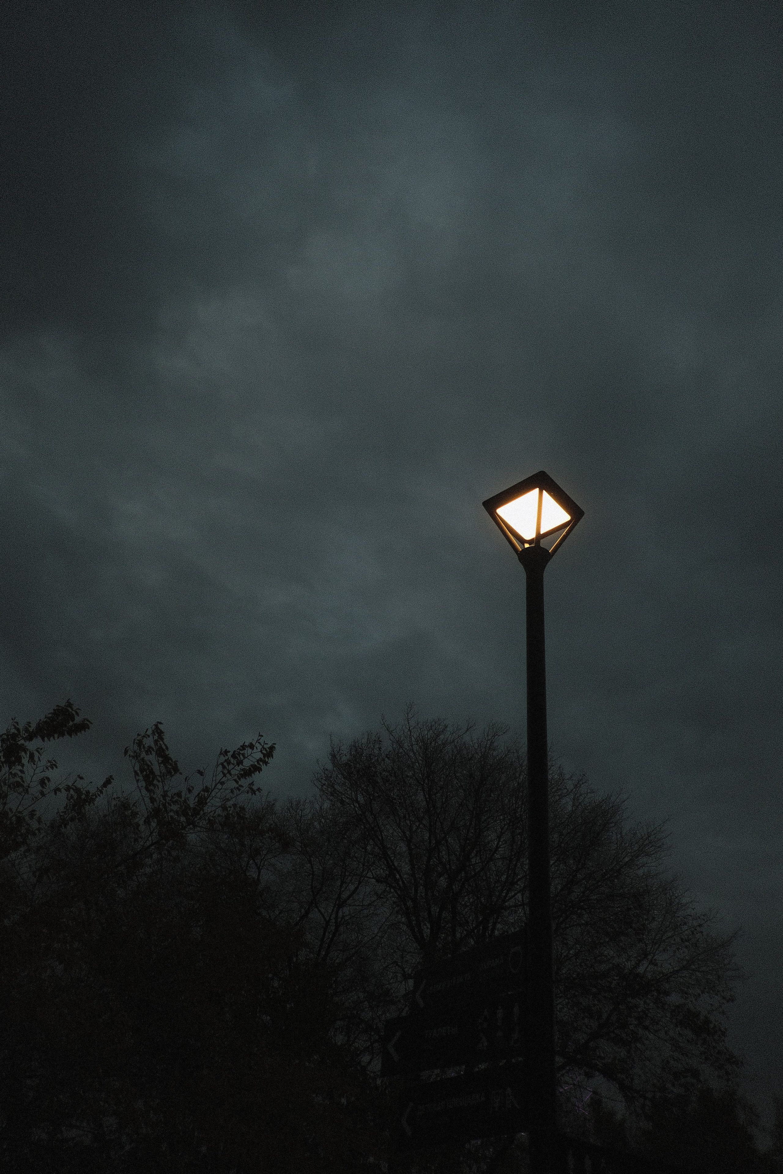 Наблюдения. Семейный фотограф в Новосибирске Артём Кузнецов