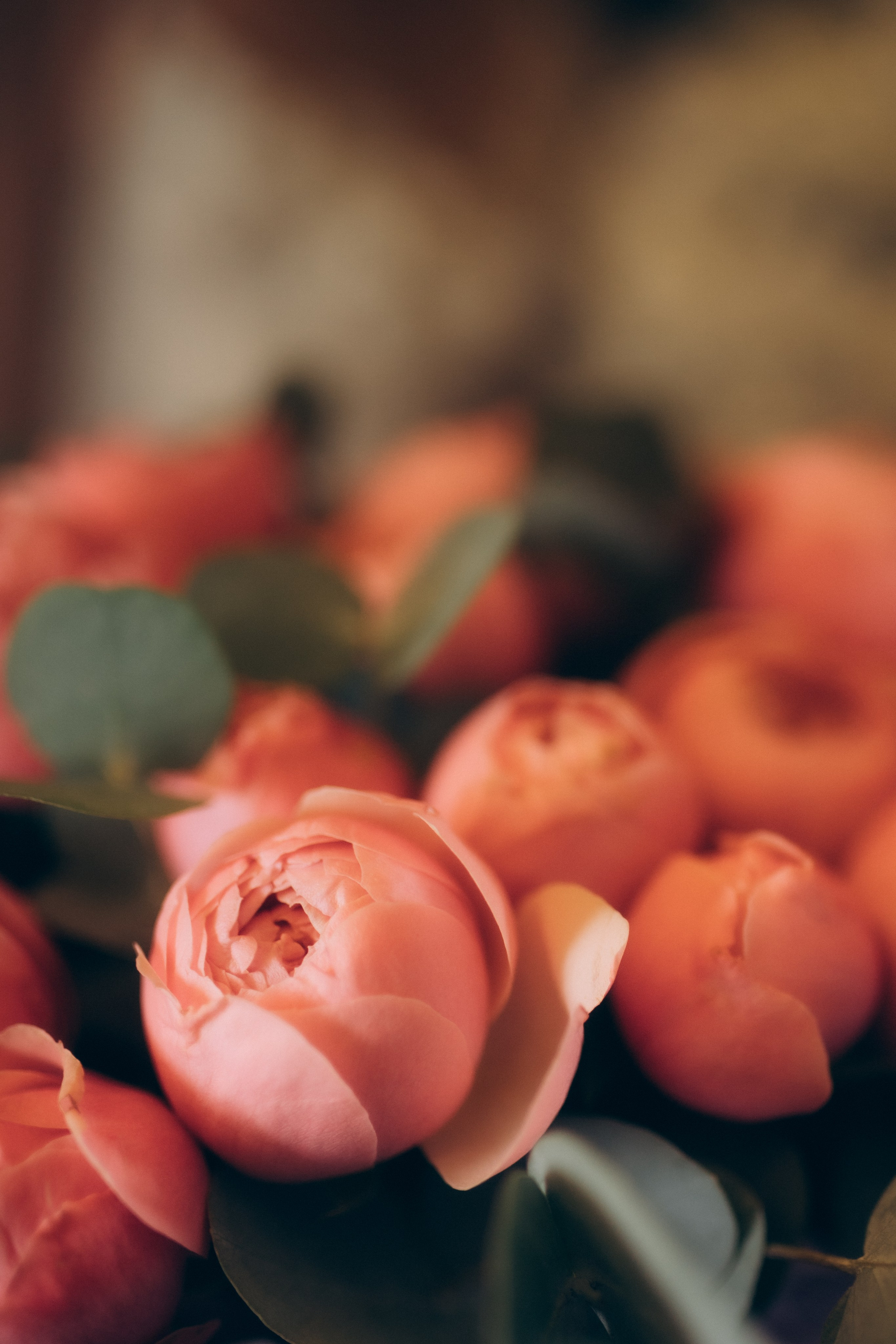 Свадьба Максима и Валерии. Свадебный фотограф Казань