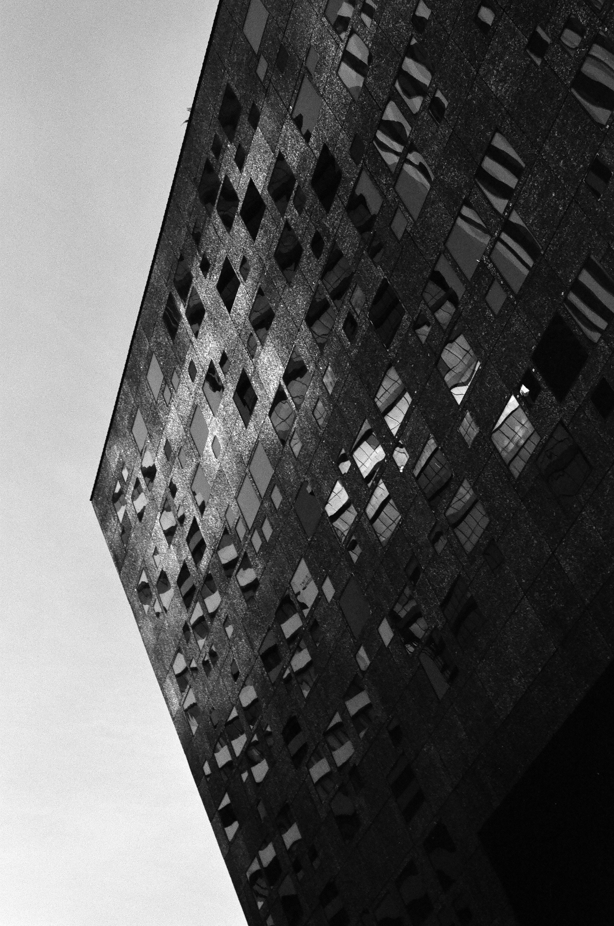 ON THE GO. Сocoobird || Атмосфера твоего бренда в снимках и видео