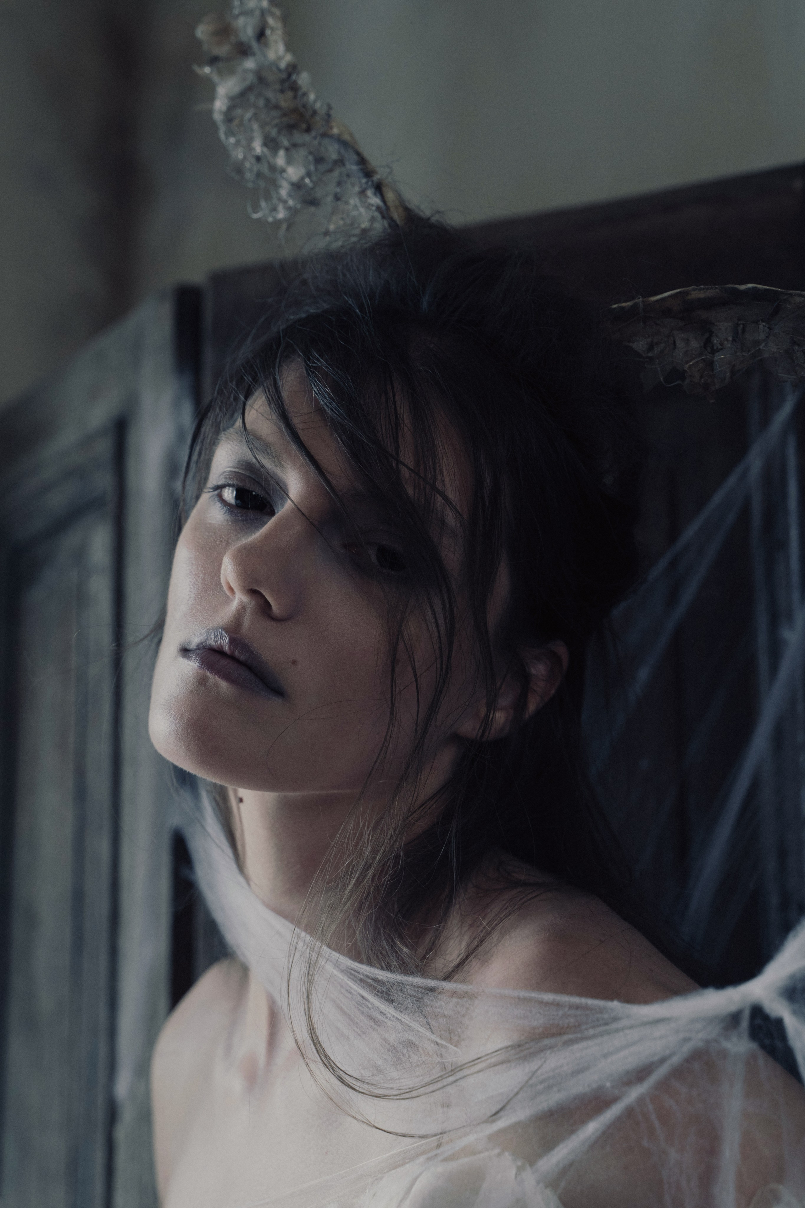Моль. Фотограф Anita Mivchas