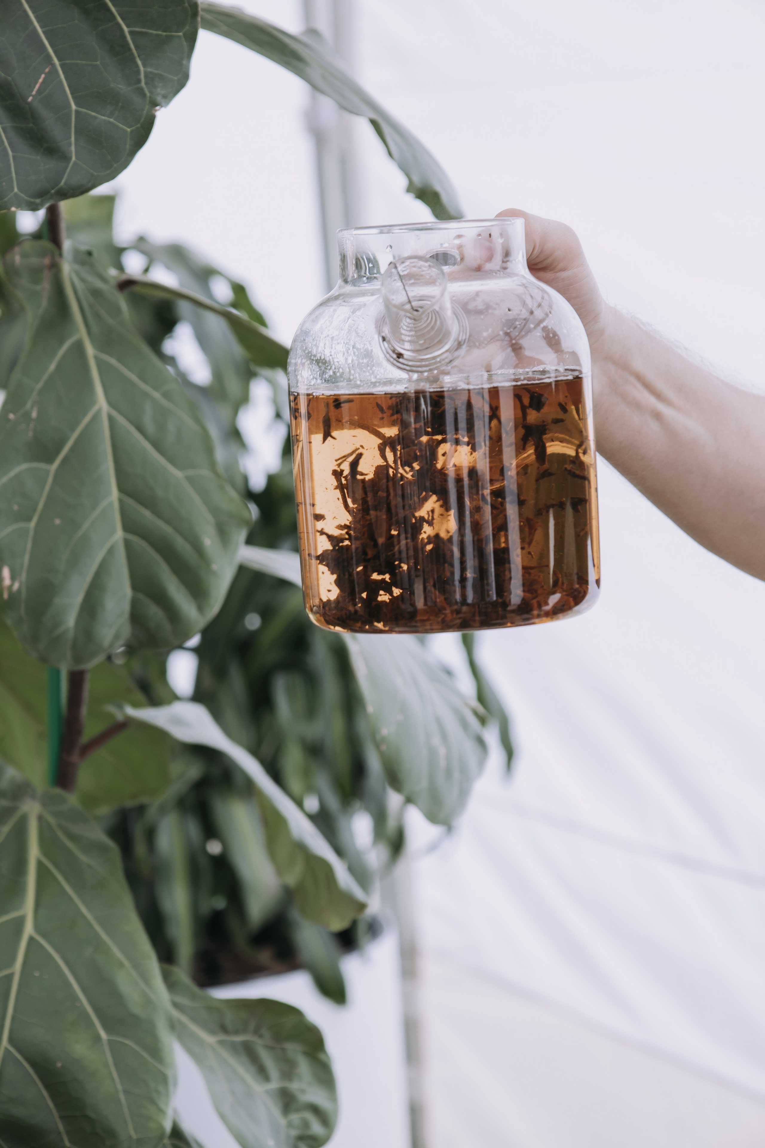 Корпоратив Природа. Репортажный фотограф Анастасия Головко