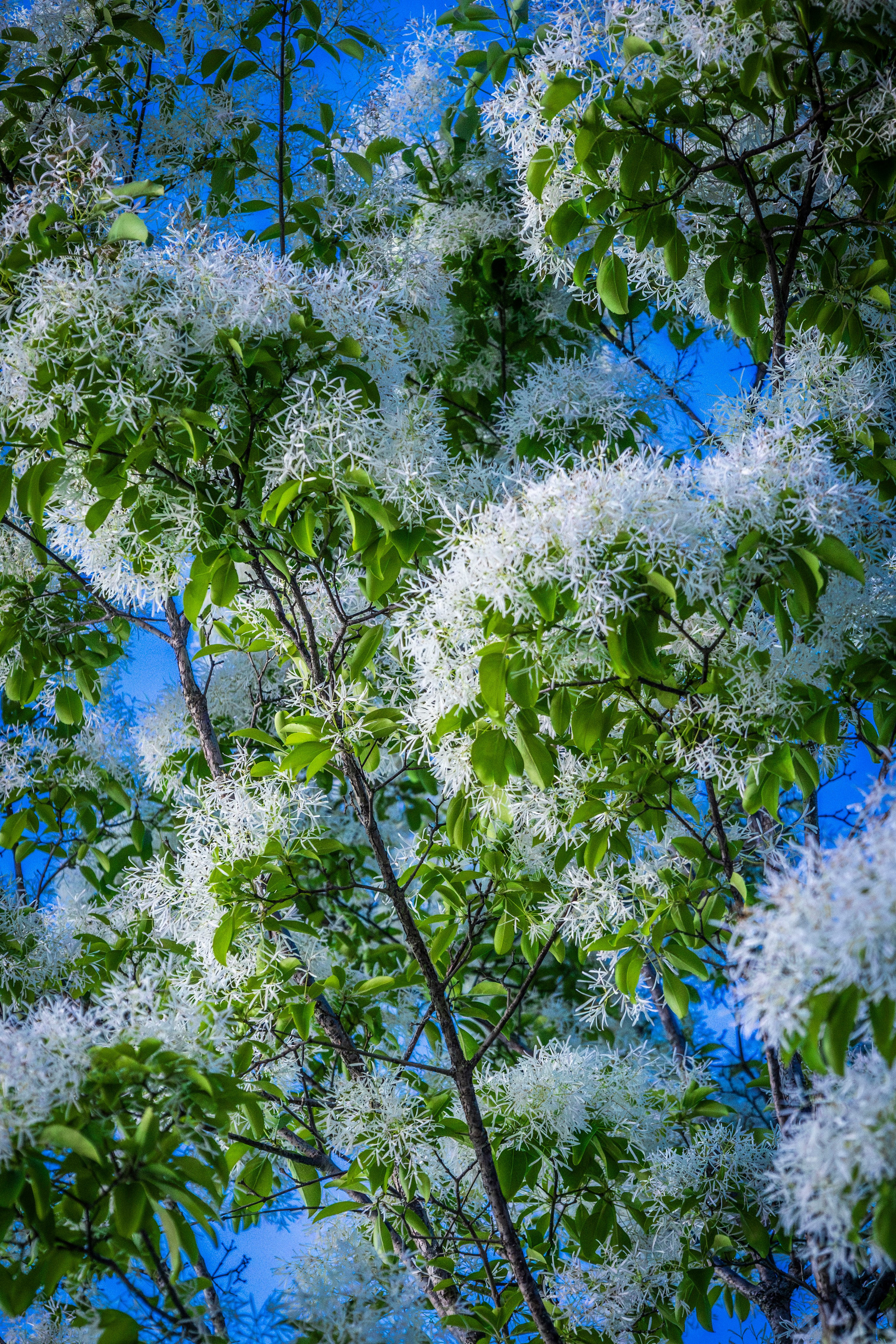 Однажды в Корее. Часть 2. Фотограф г. Владивосток