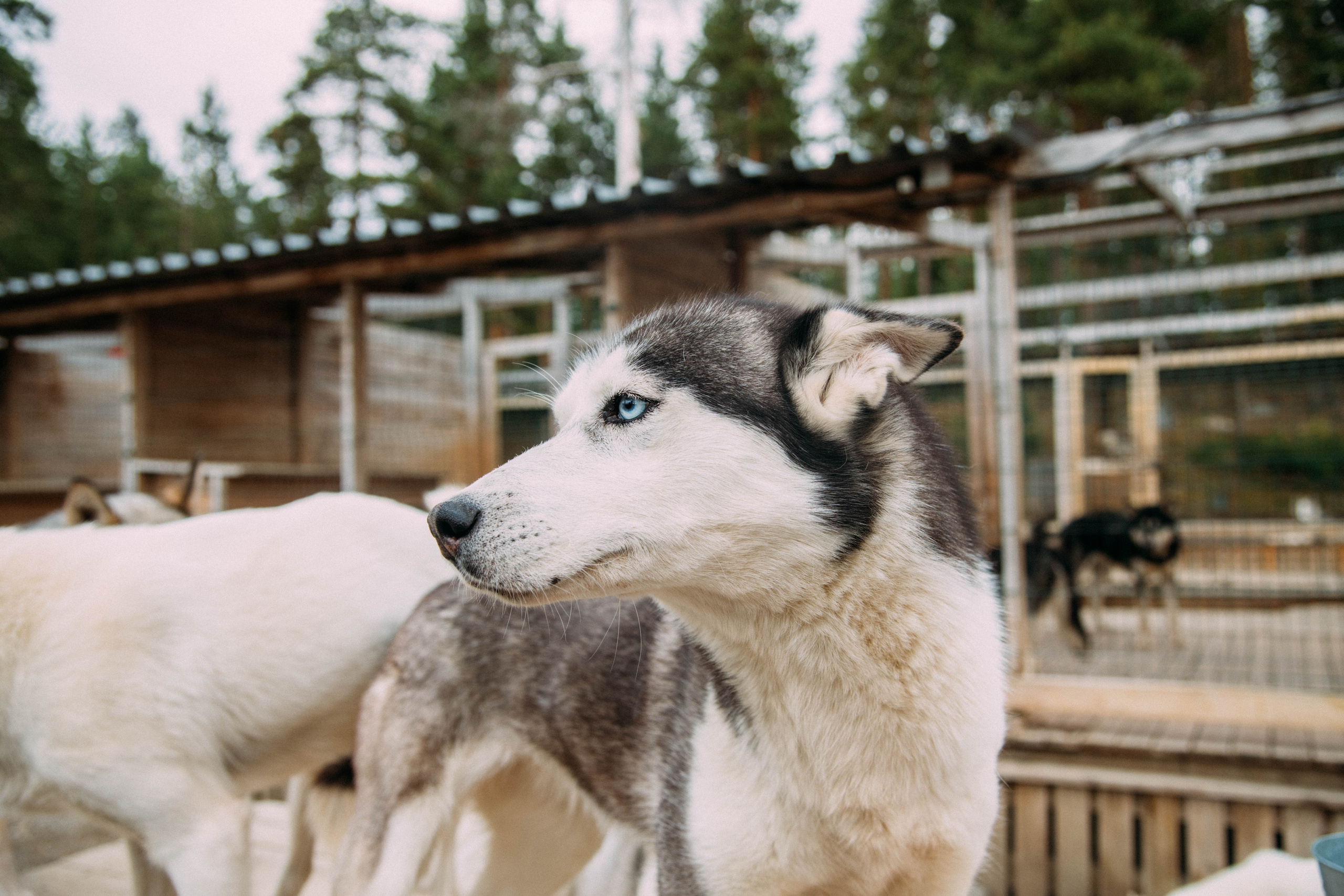 Кольский полуостров. Фотографирую для себя, своей семьи и друзей!