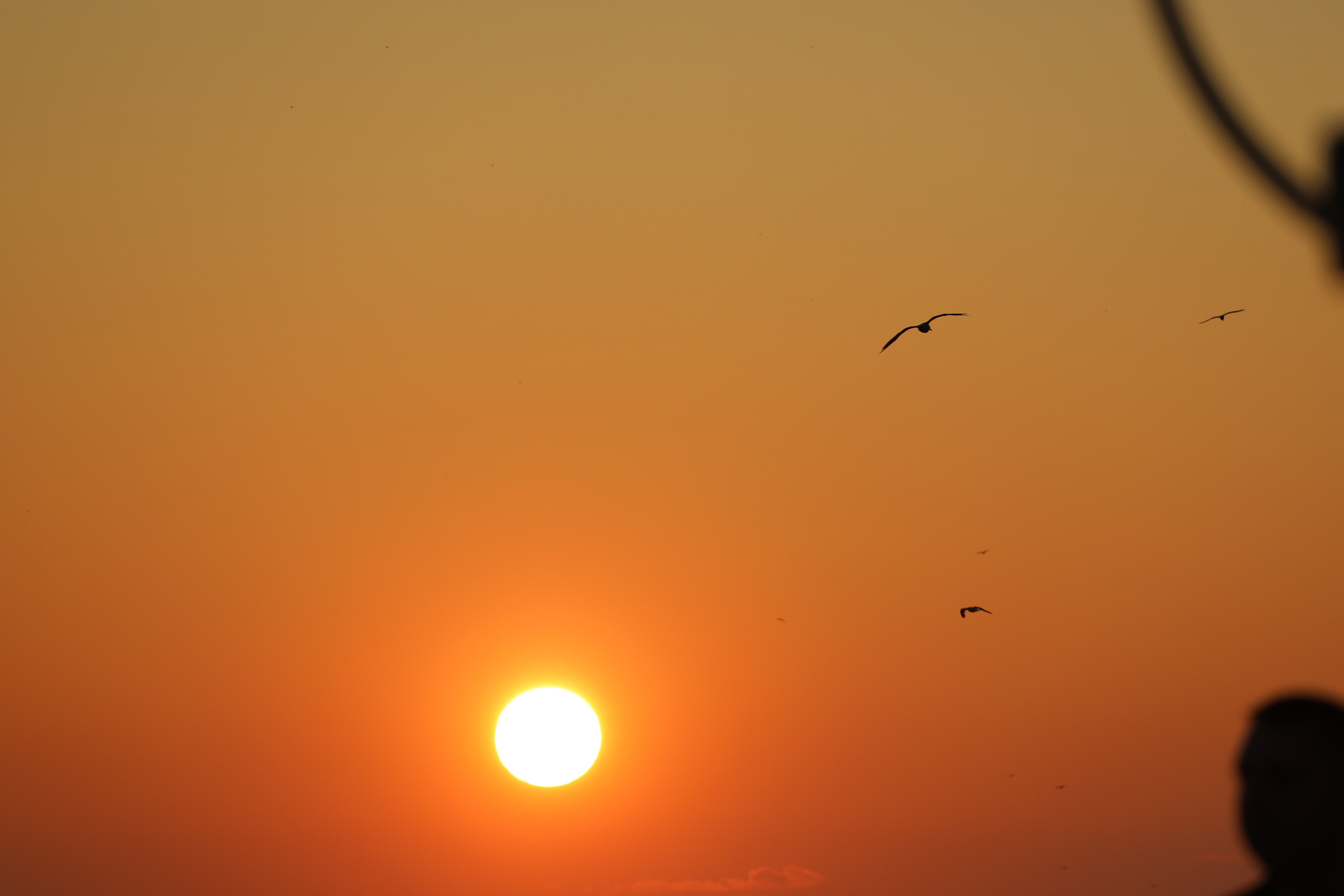 Пейзаж. Дмитрий Старков — фотограф