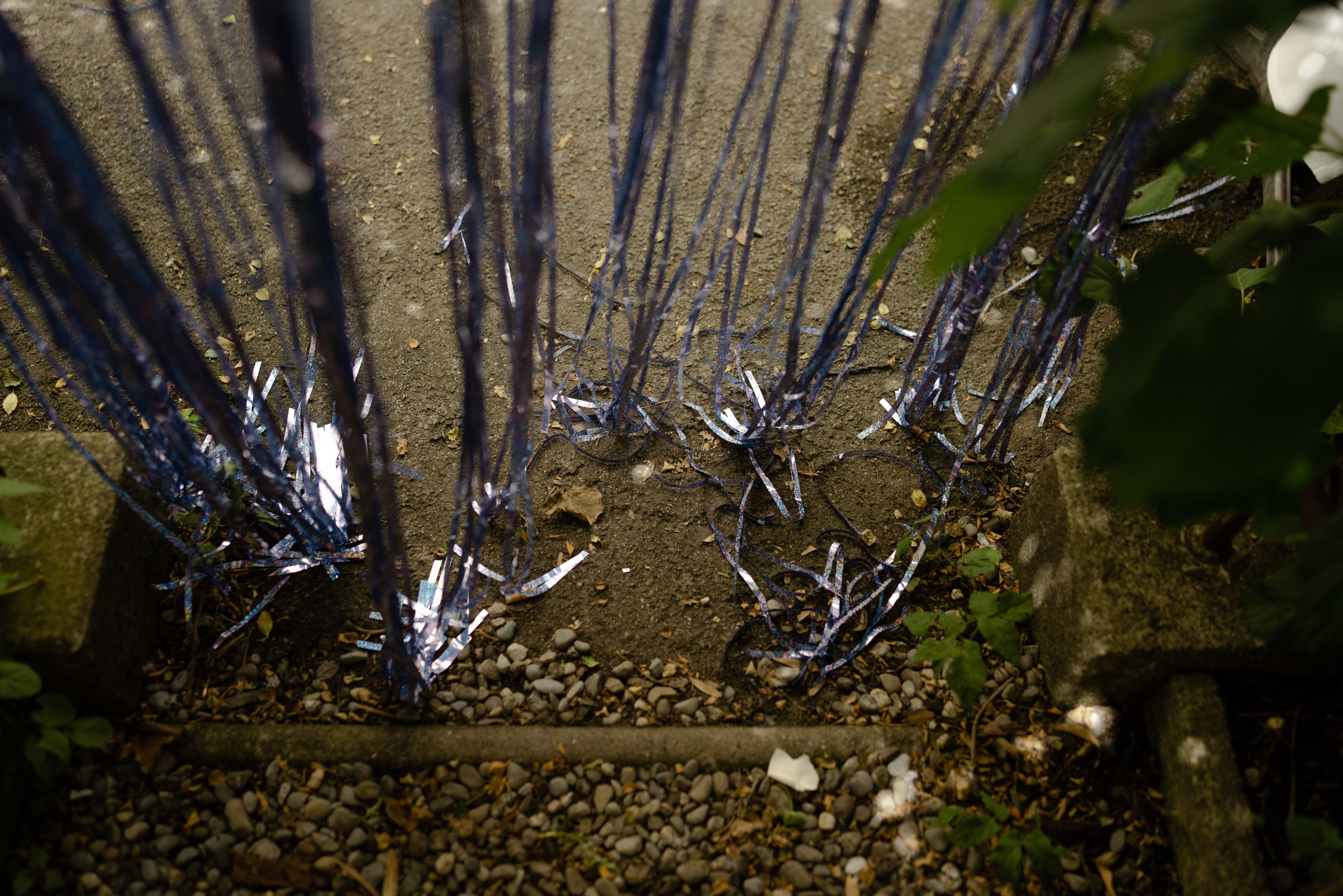 Wedding Photographer Switzerland Bern Europe. Professional Wedding Photographer Geneva & Romande Switzerland | Tanya Creator