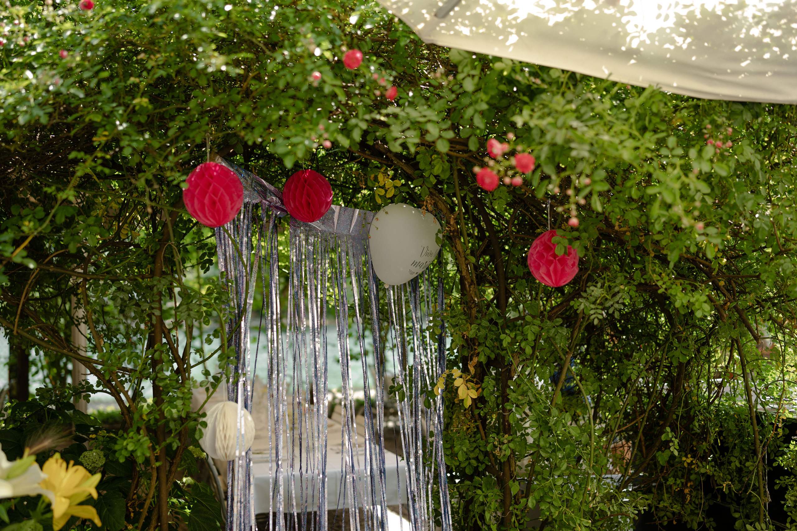 Wedding Photographer Switzerland Bern Europe. Professional Wedding Photographer Geneva & Romande Switzerland | Tanya Creator