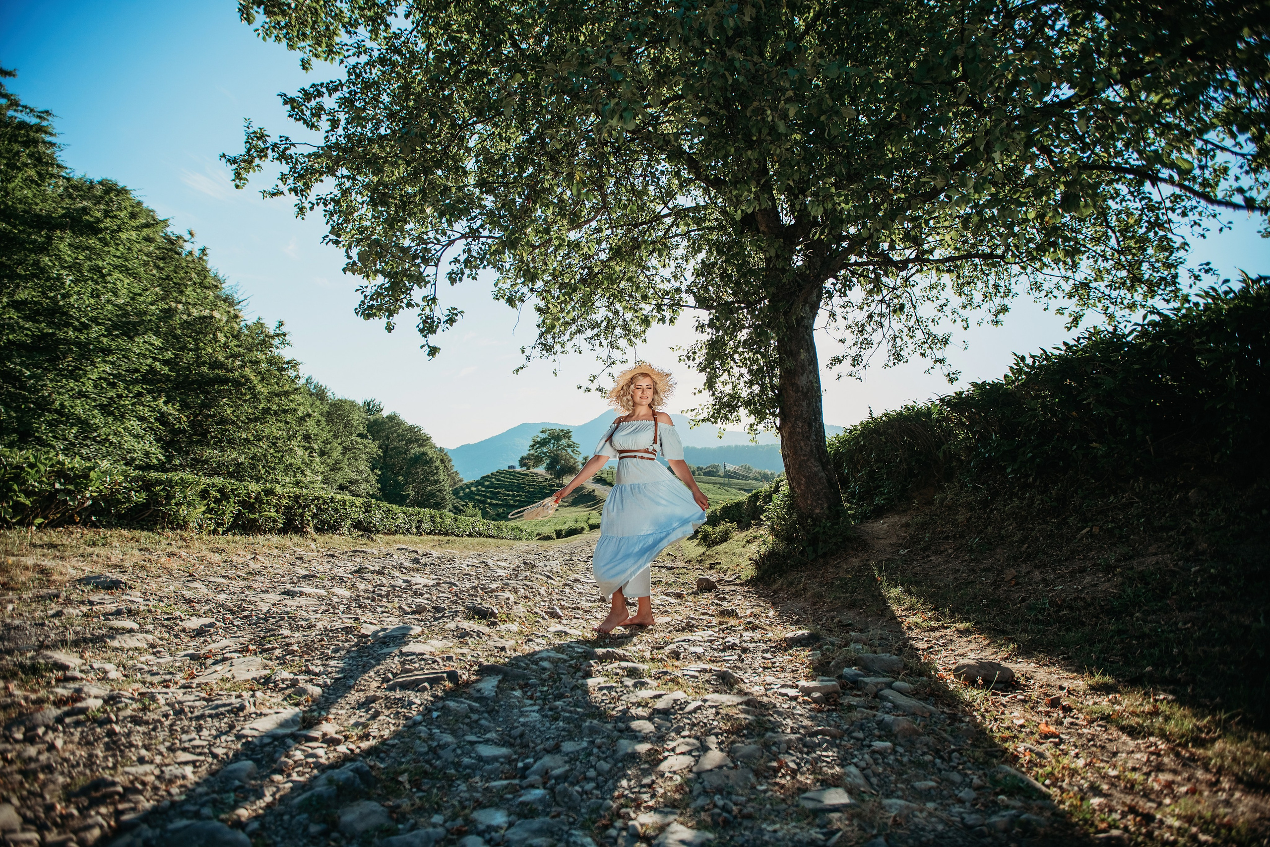 Чайные плантации мацеста. Фотограф Сочи Татьяна Зорина