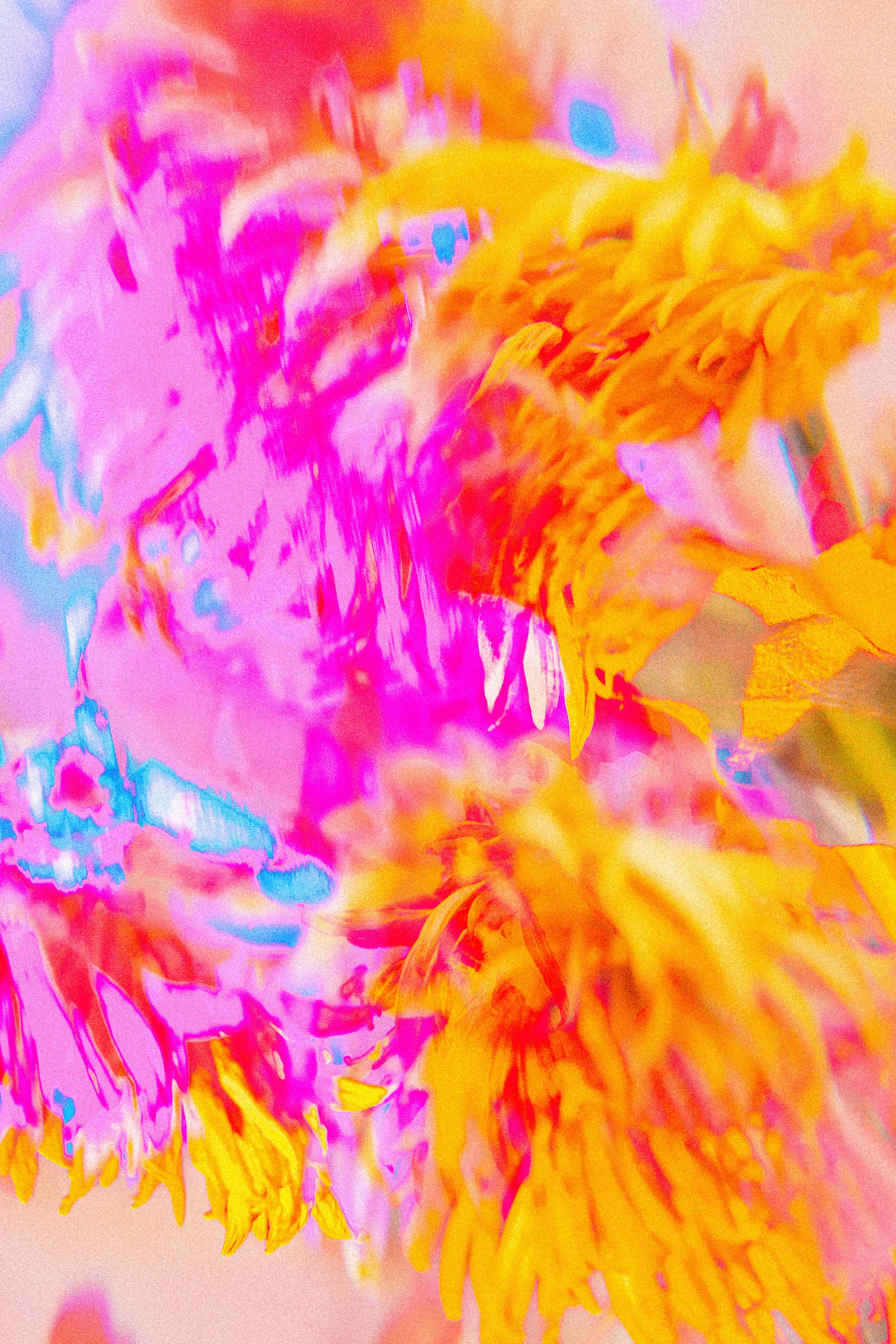 ЦВЕТА, 2025-2026. АННА ВЕРСО / ANNA VERSO | Визуальный художник / Visual artist