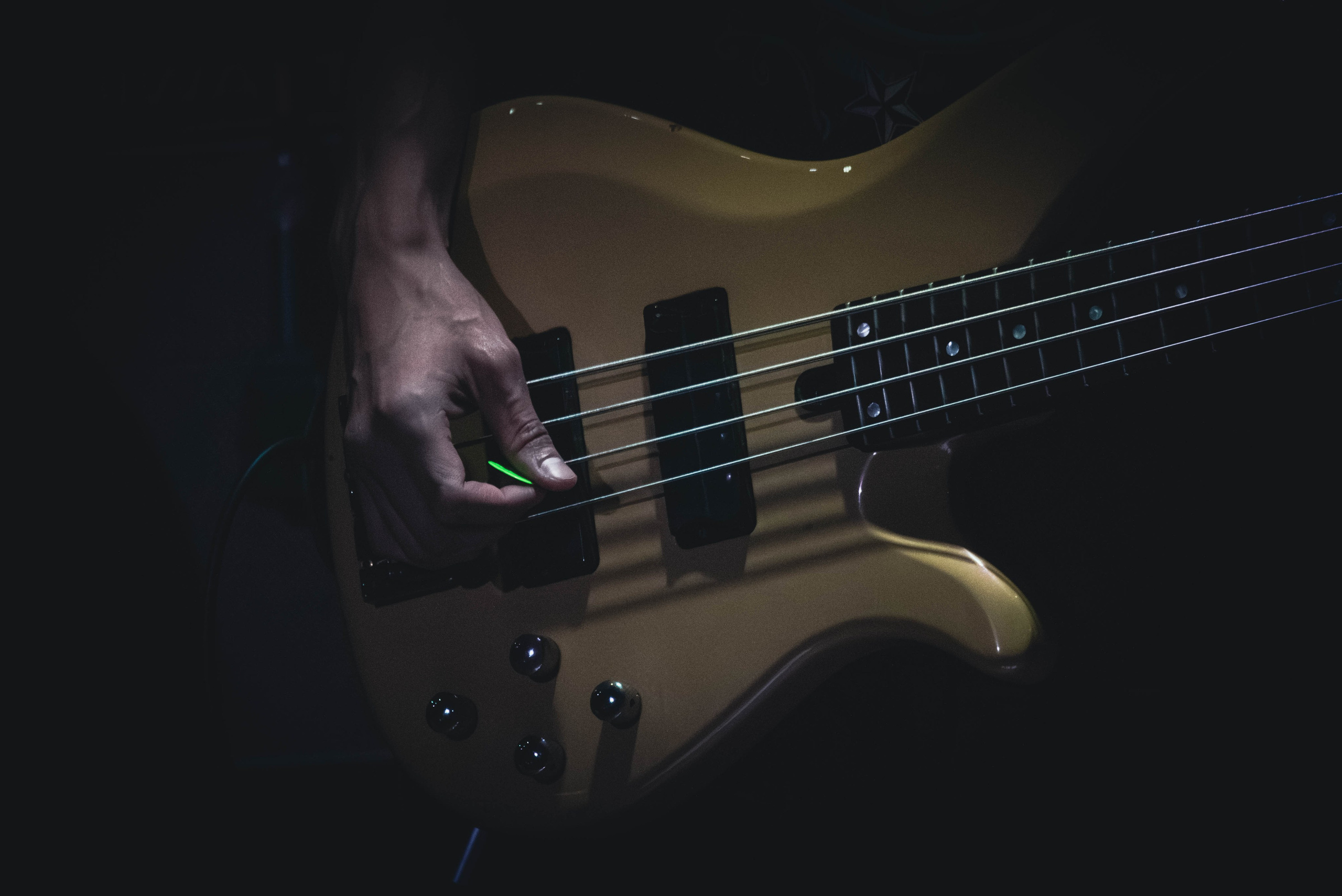 Antarctic (10 ноября 2024 года, Москва, клуб Mezzo Forte). Фотограф Светлана Блинова, Москва и Московская область