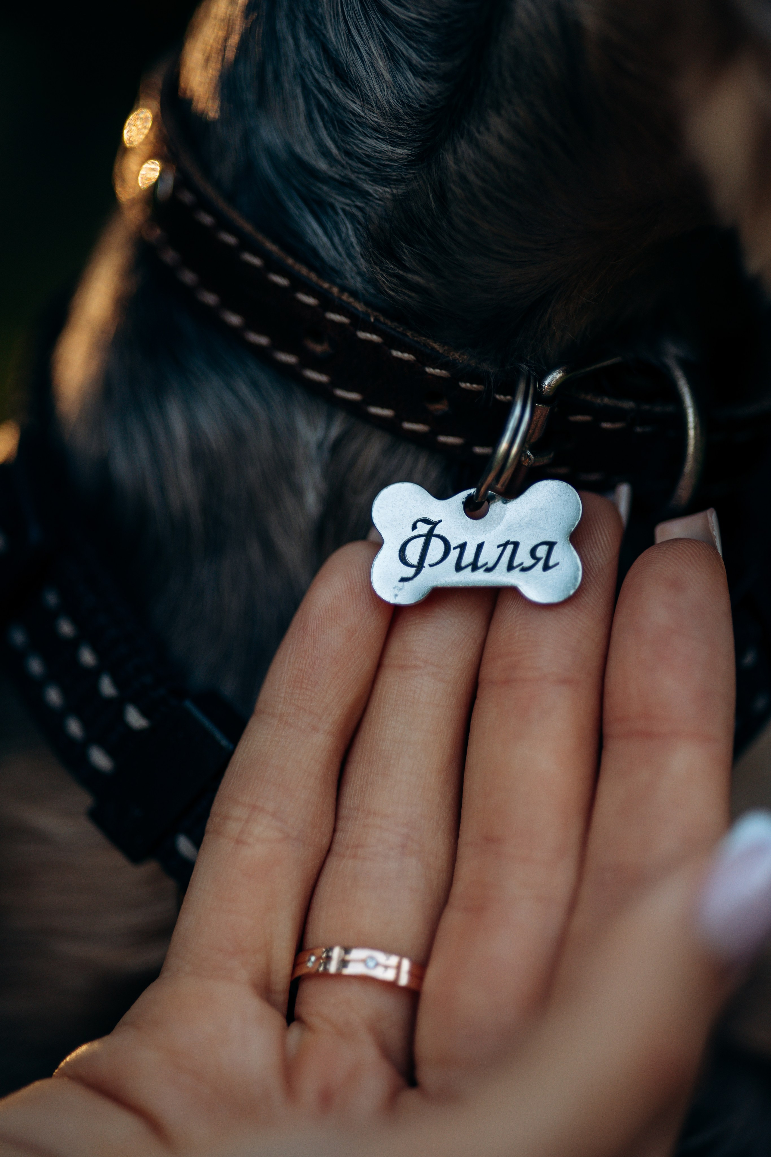 Филя и его семья. Фотограф — Анималист | Санкт-Петербург