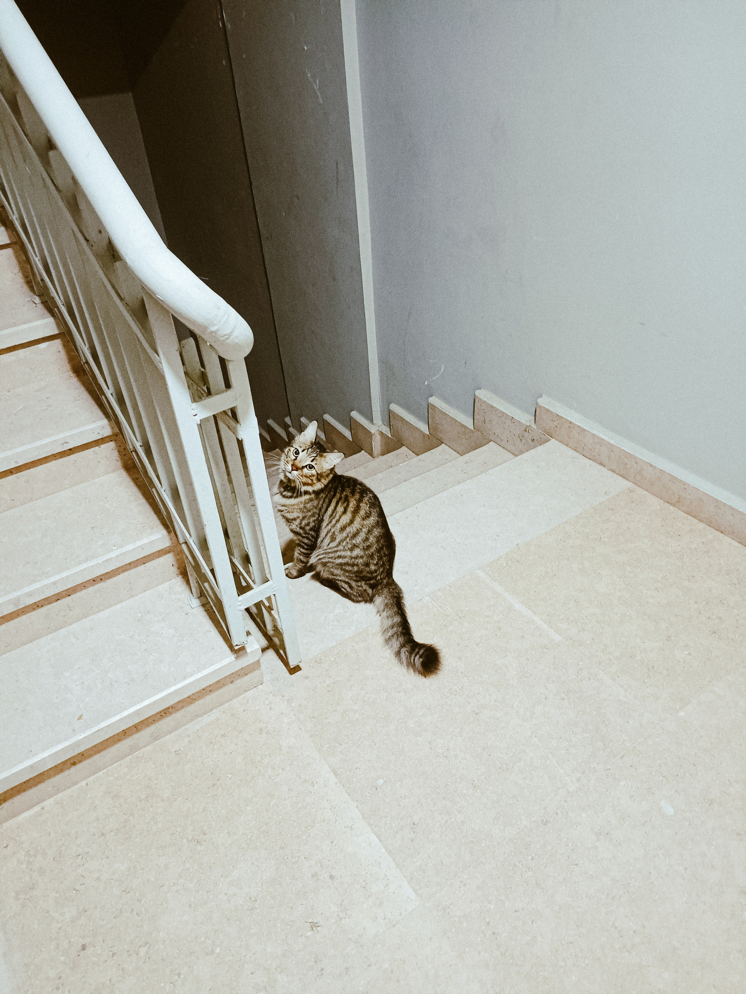 Мобильная. Jorgis — фотограф в Хургаде / обучение фотографии