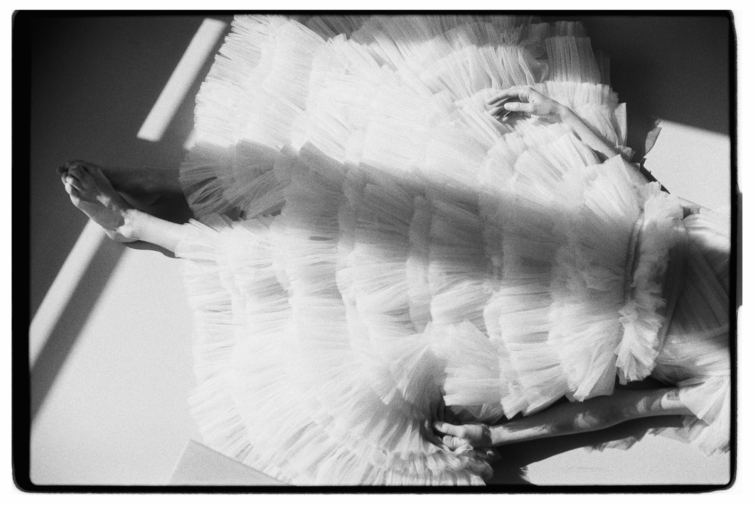 Зерно. Фотограф Александр Медведев