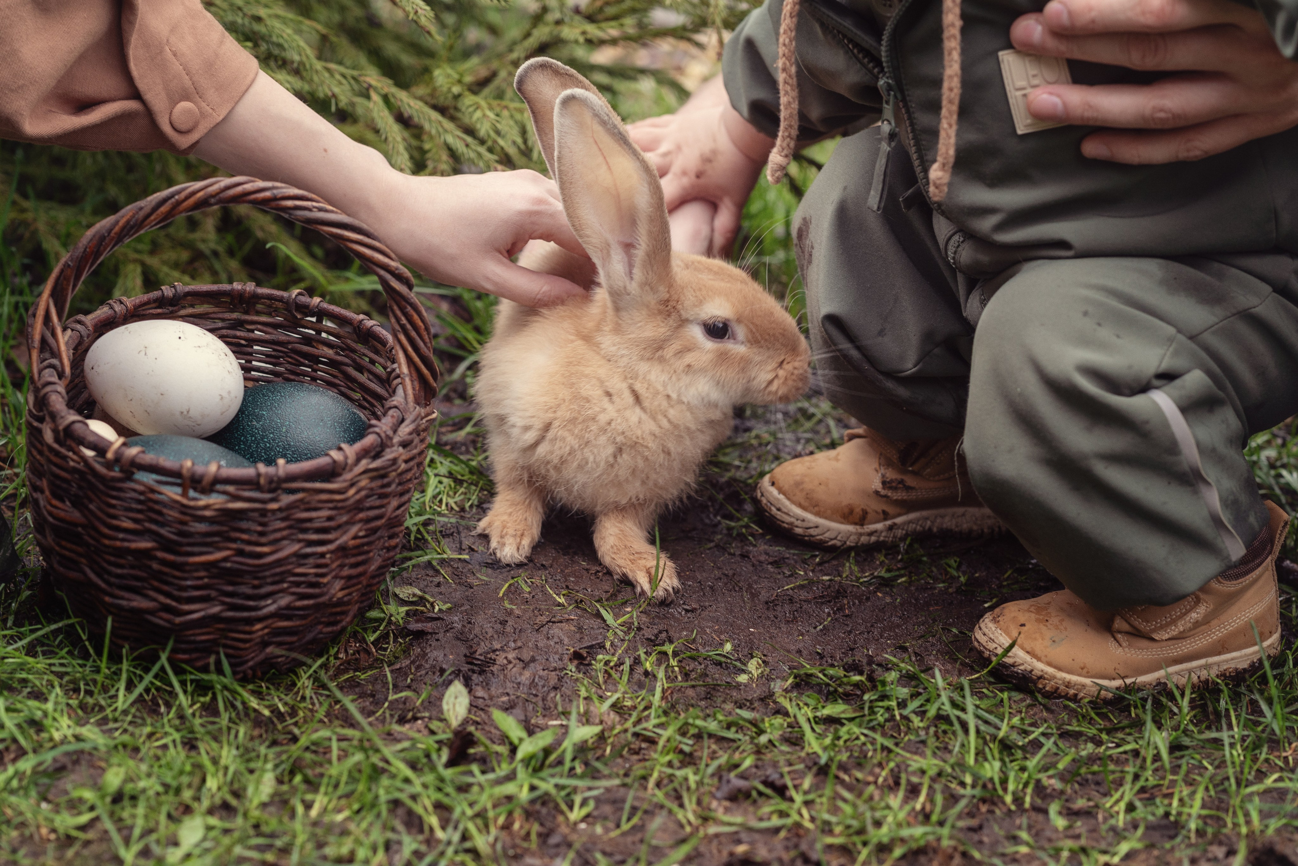 Пасхальный кролик. Семейный фотограф Новая Рига (Звенигород, Истра) Евгения Литовченко