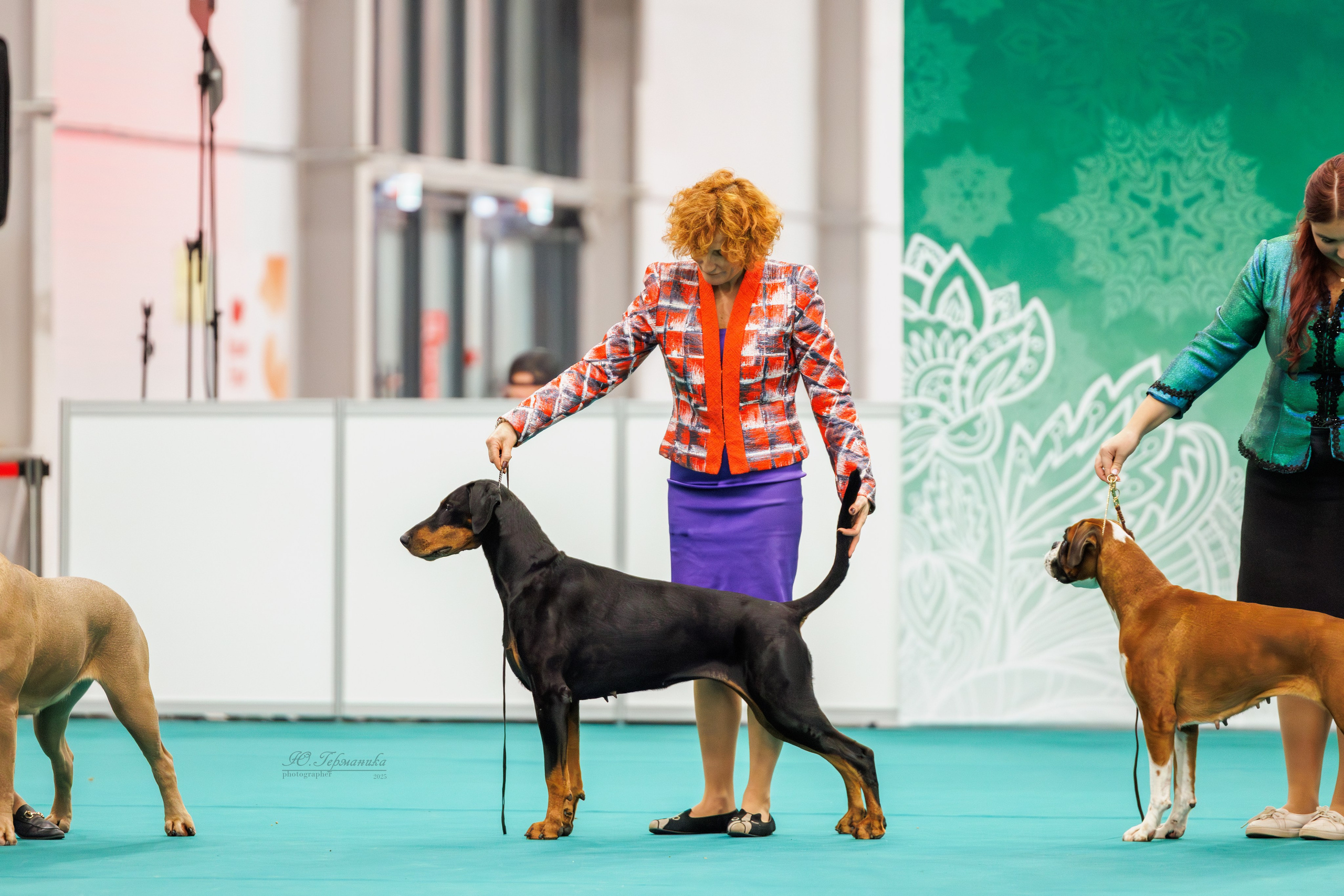 Зилант Казань 29-30.11.2025. Фотограф-анималист Юлия Германика