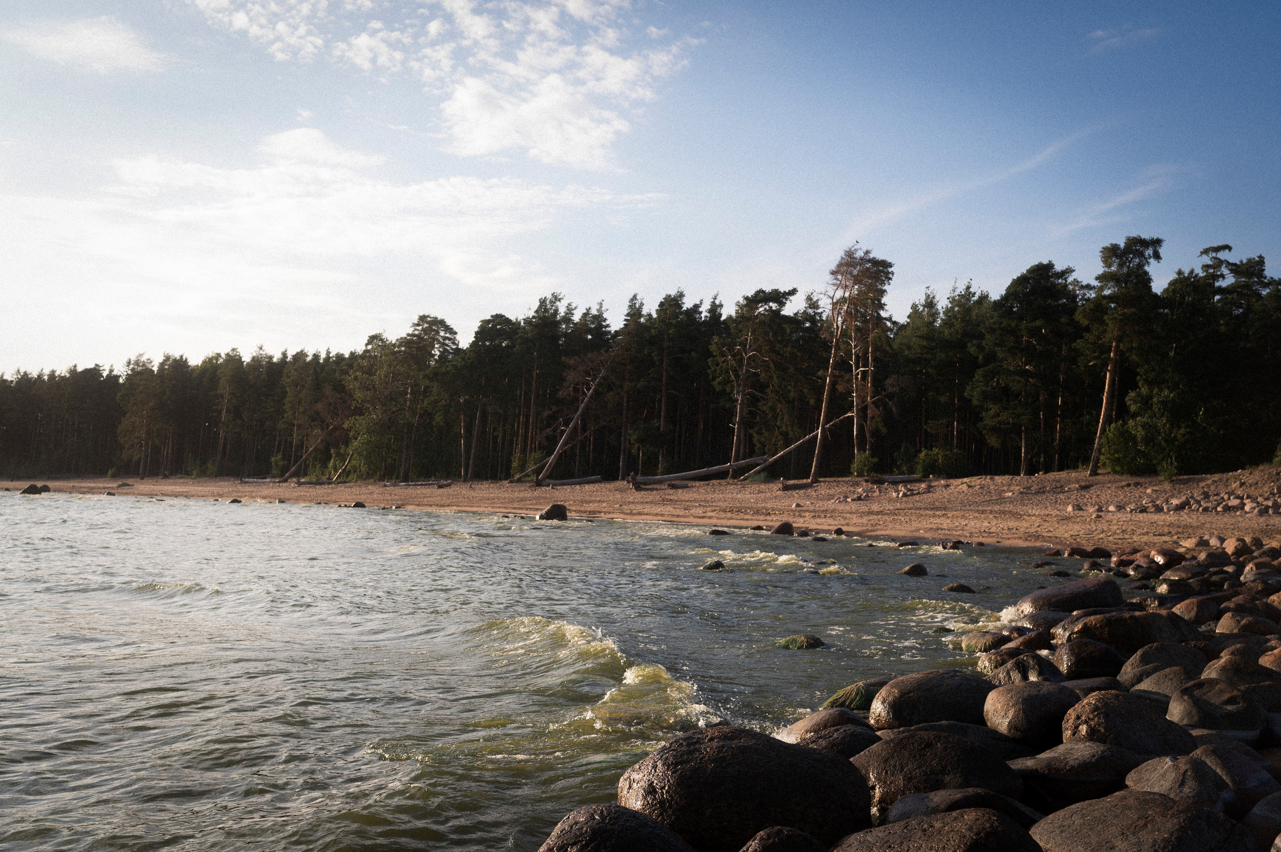 North 2024. Kartascheff