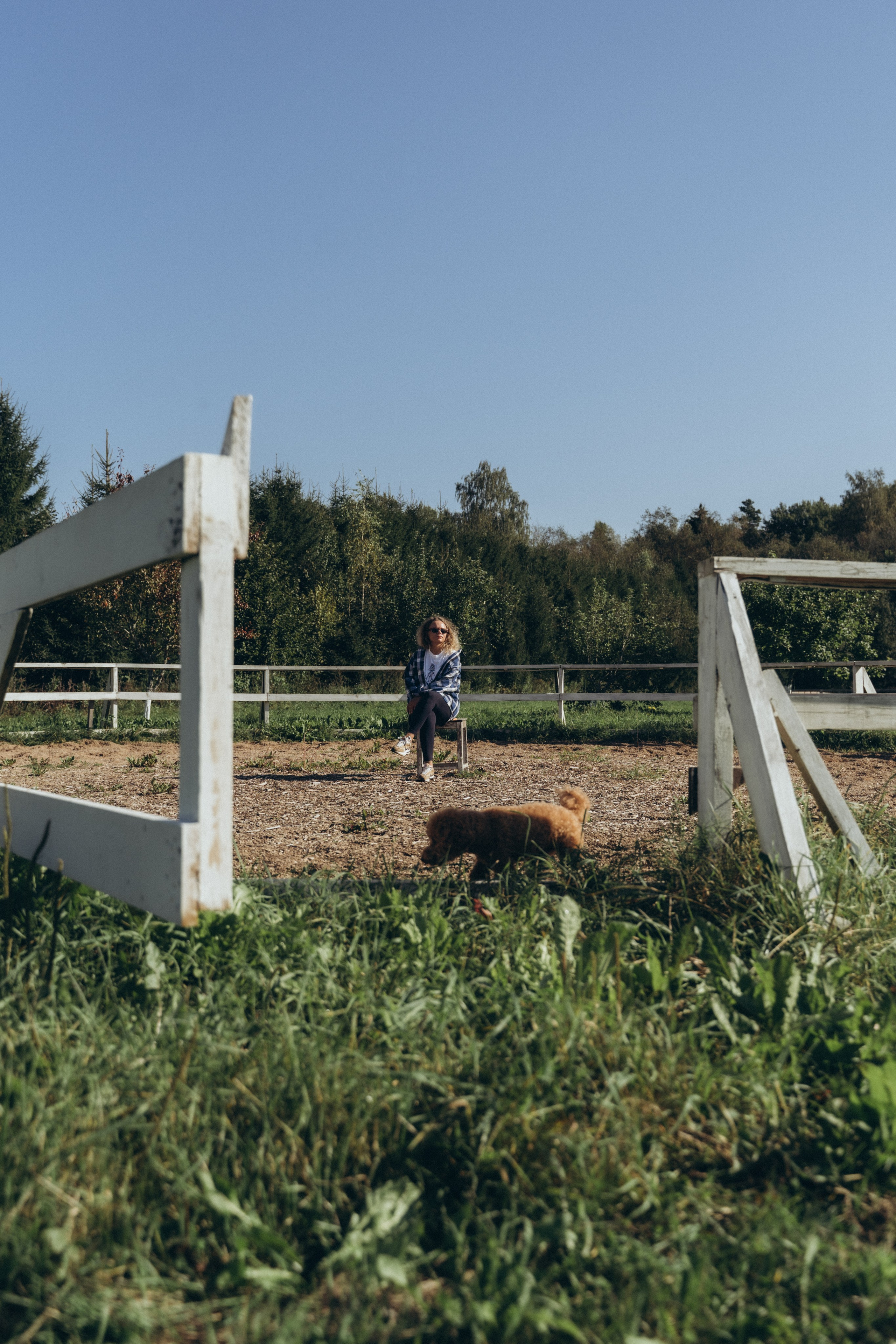 Даша. Главная