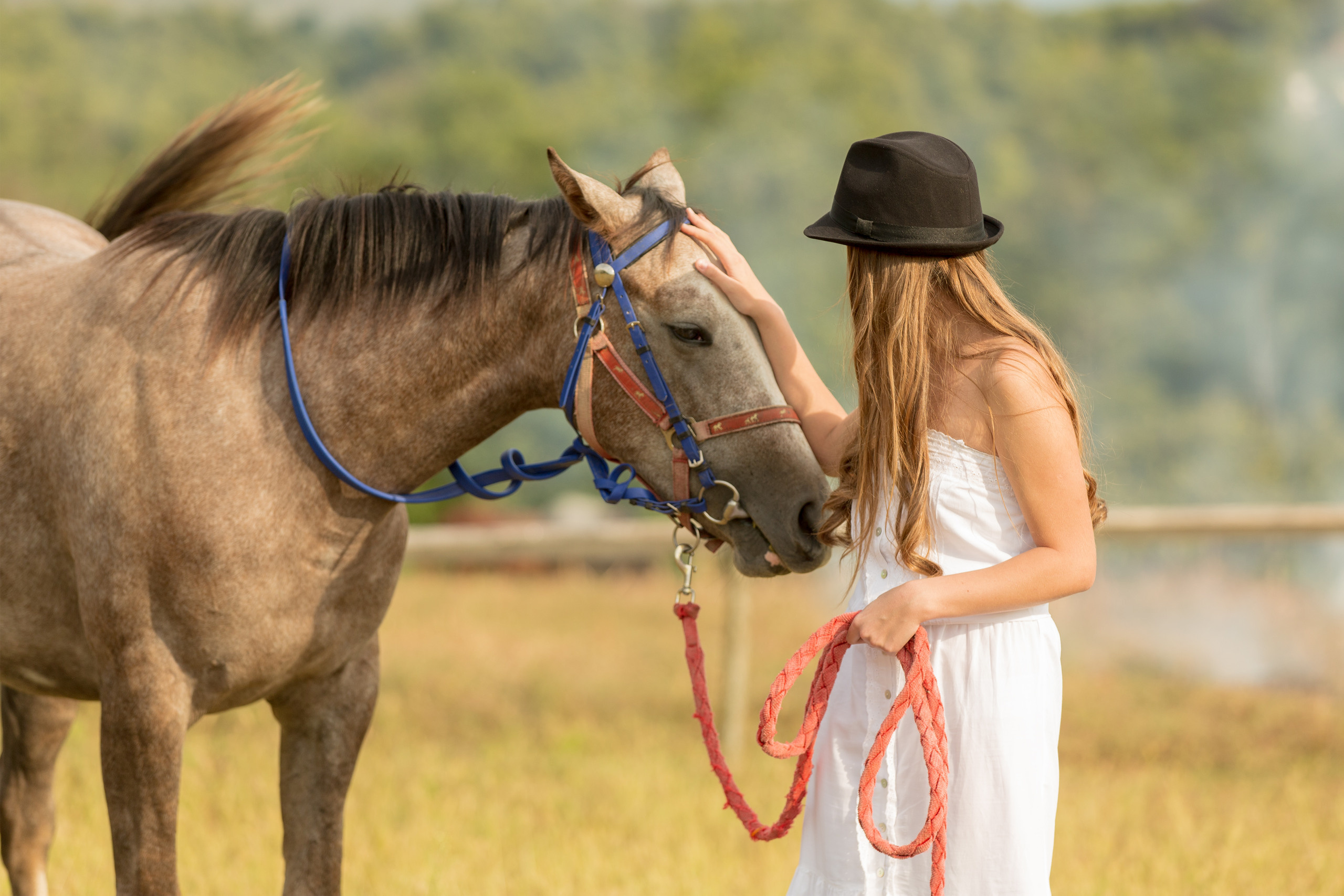 Виктория и скакун Лонг-Вау. Свадебный и семейный фотограф в Абхазии Эля Цишба