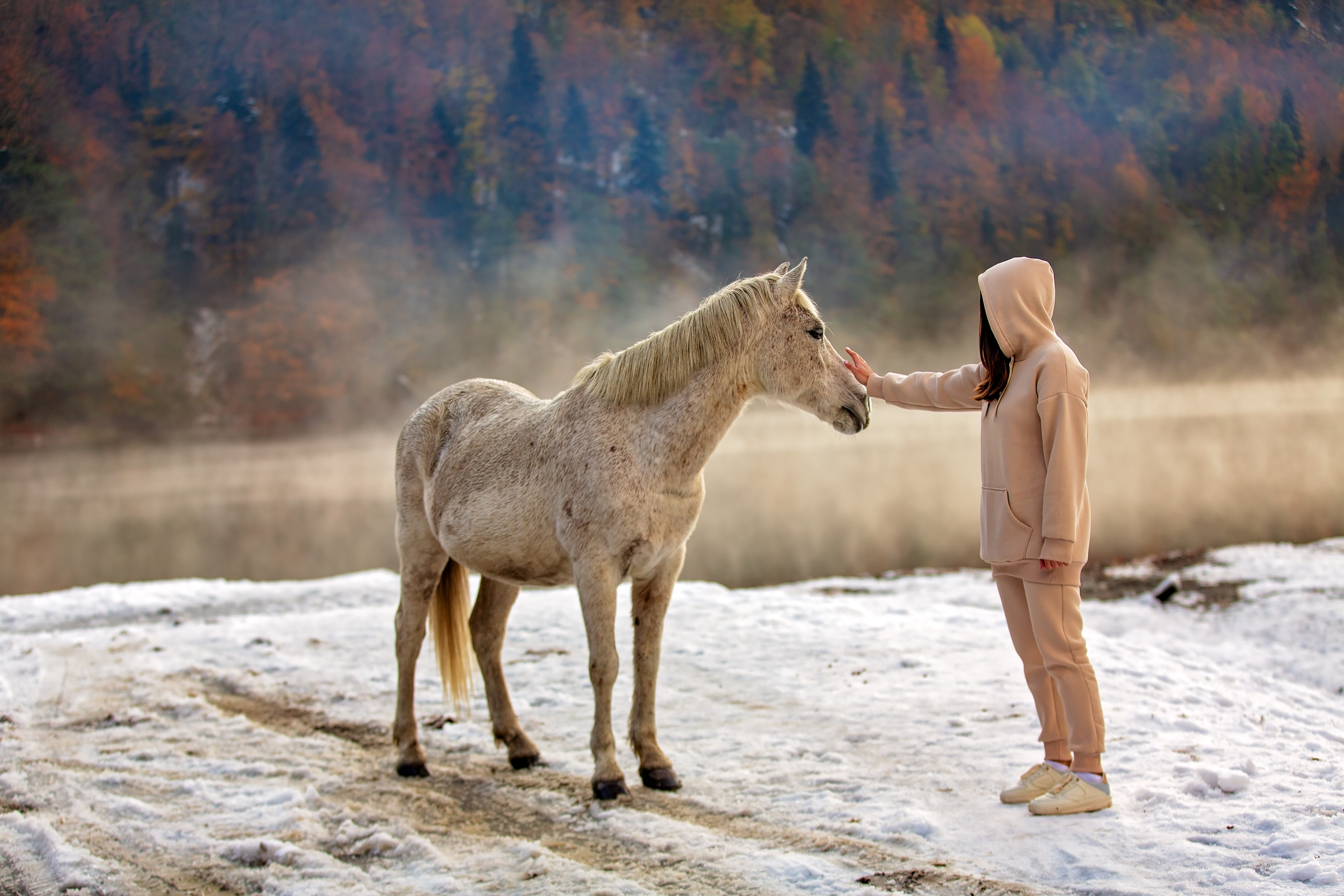 Новогодняя сказка. Свадебный и семейный фотограф в Абхазии Эля Цишба