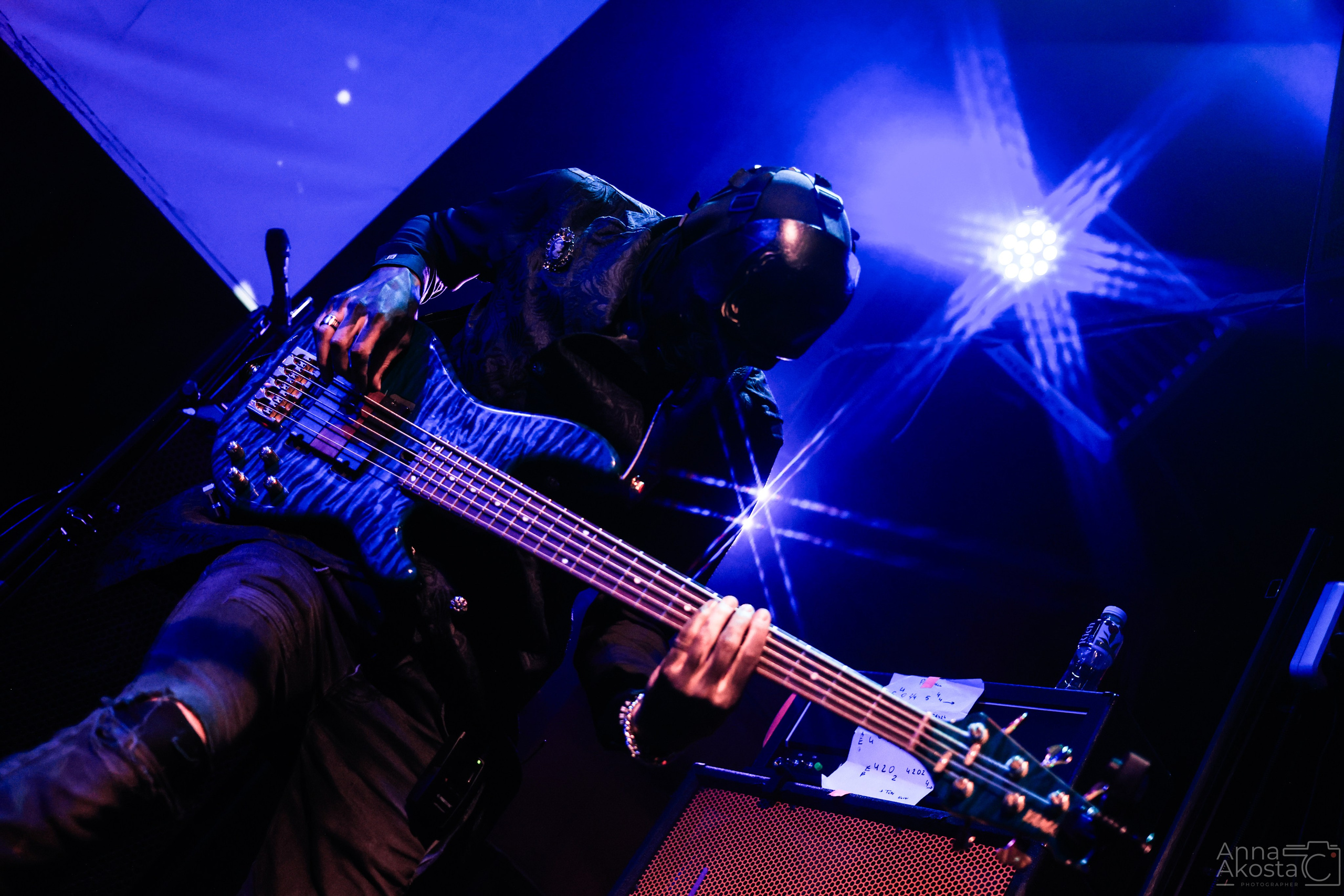 Altersight | Ласточка | СПб. Анна Акоста: фотограф в Санкт-Петербурге и Таганроге