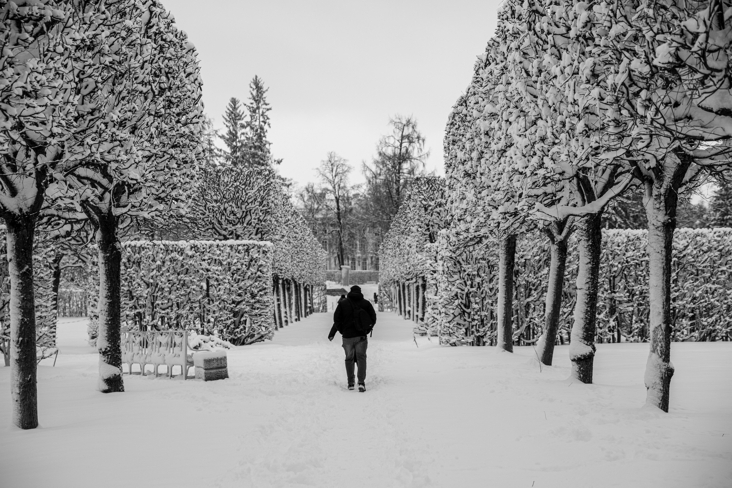 Фото с прогулок и с поездок на Кольский полуостров