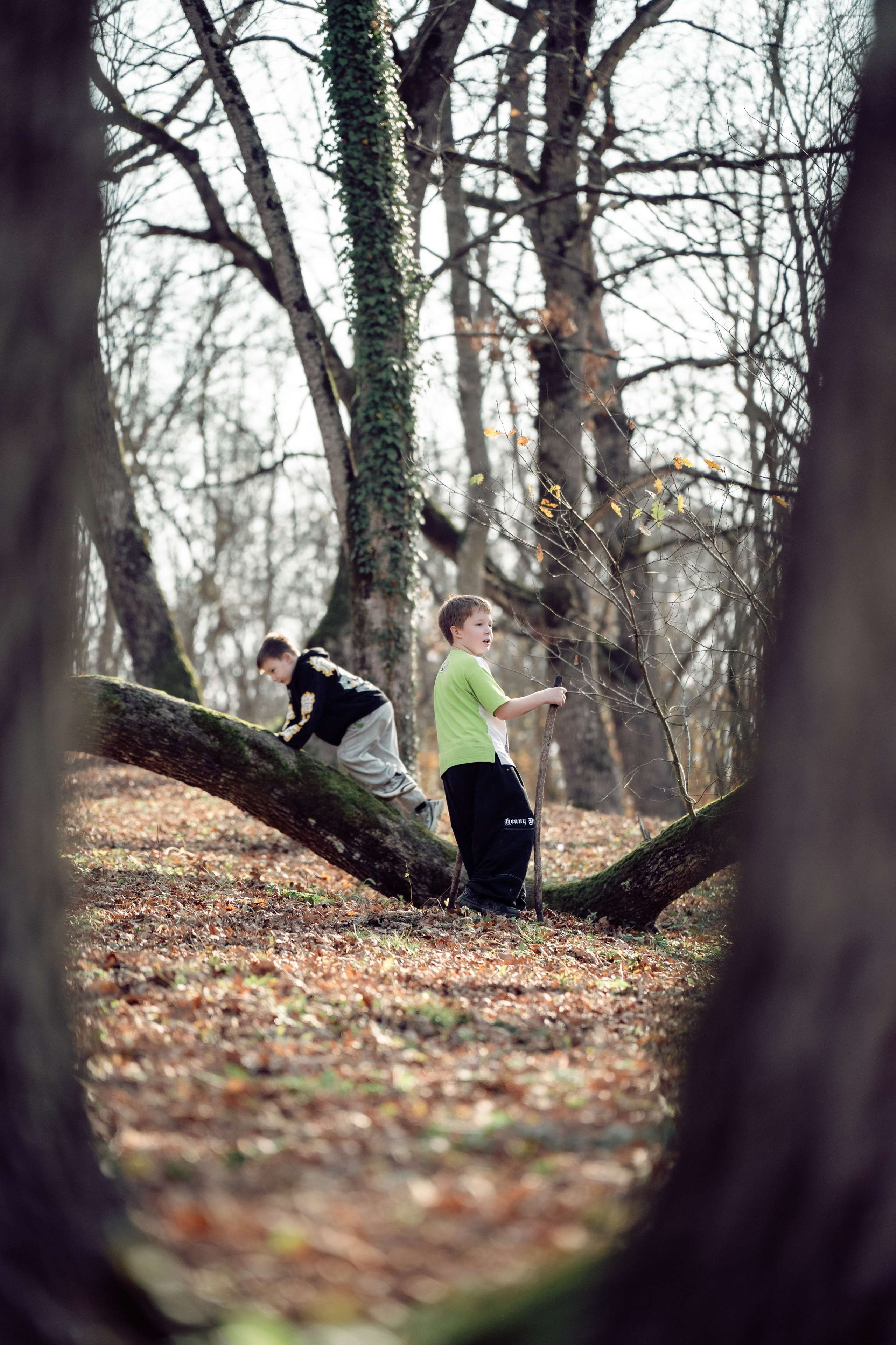 Дружеский забег Альпинистский мёд 09/11/2025. Фотограф в Краснодаре Алена Горбунова
