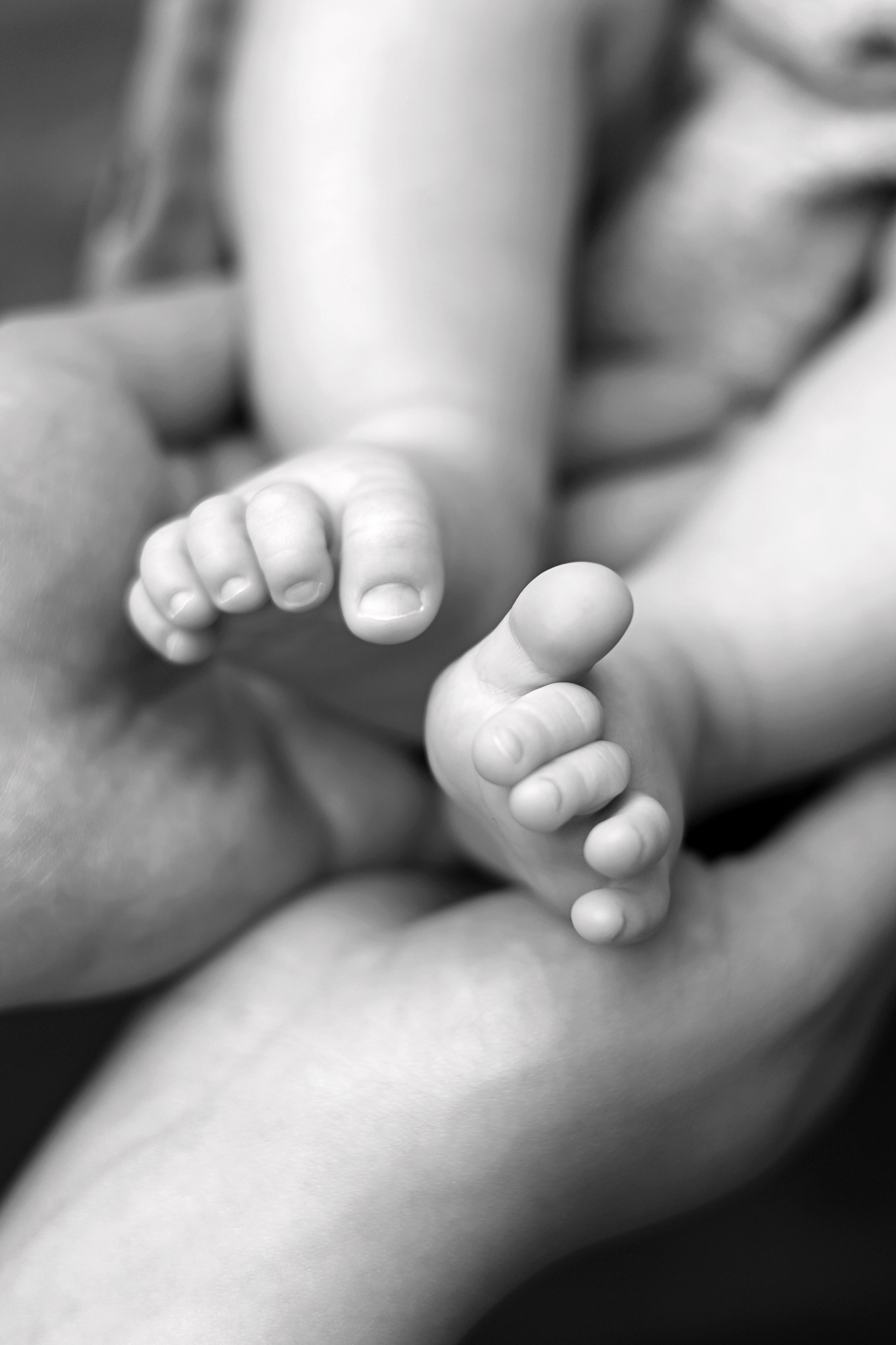 Мире 2,5 месяца. Фотограф новорожденных Москва. Ньюборн фотограф Москва