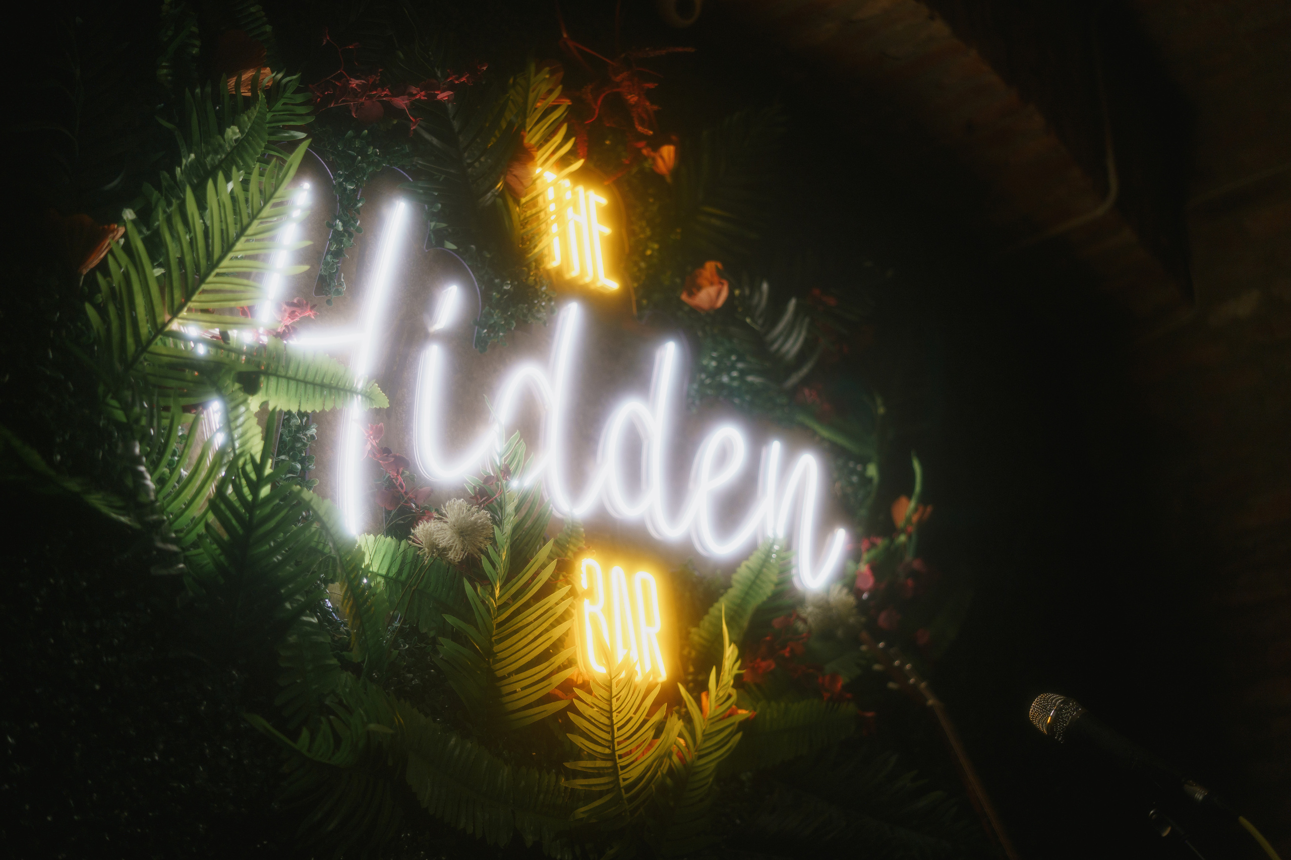 Концерт Алины Маркиной в Тбилиси. Свадебный и индивидуальный фотограф Татьяна Гуляева