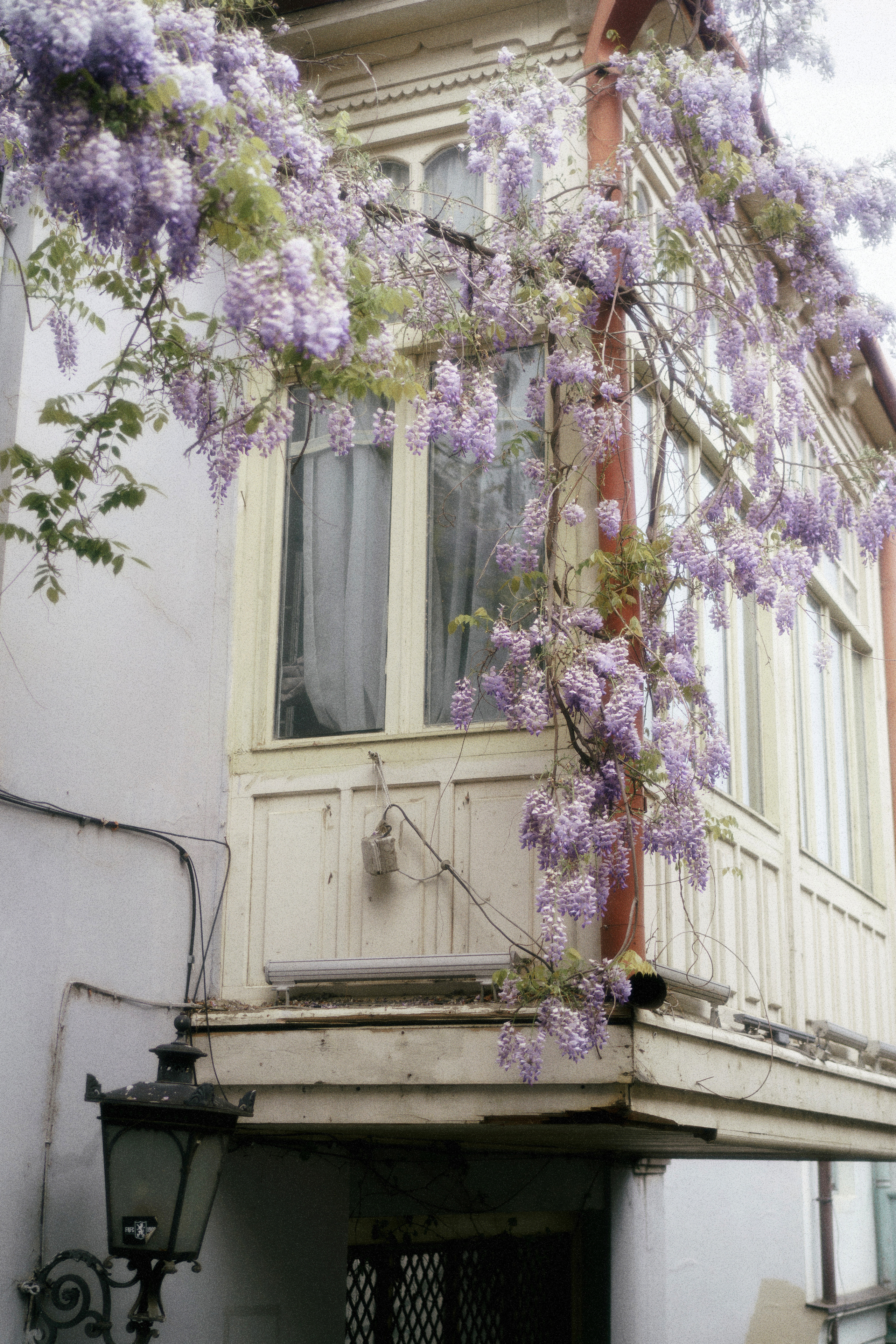 Tbilisi lovers: Ираклий и Карина. Свадебный и индивидуальный фотограф Татьяна Гуляева