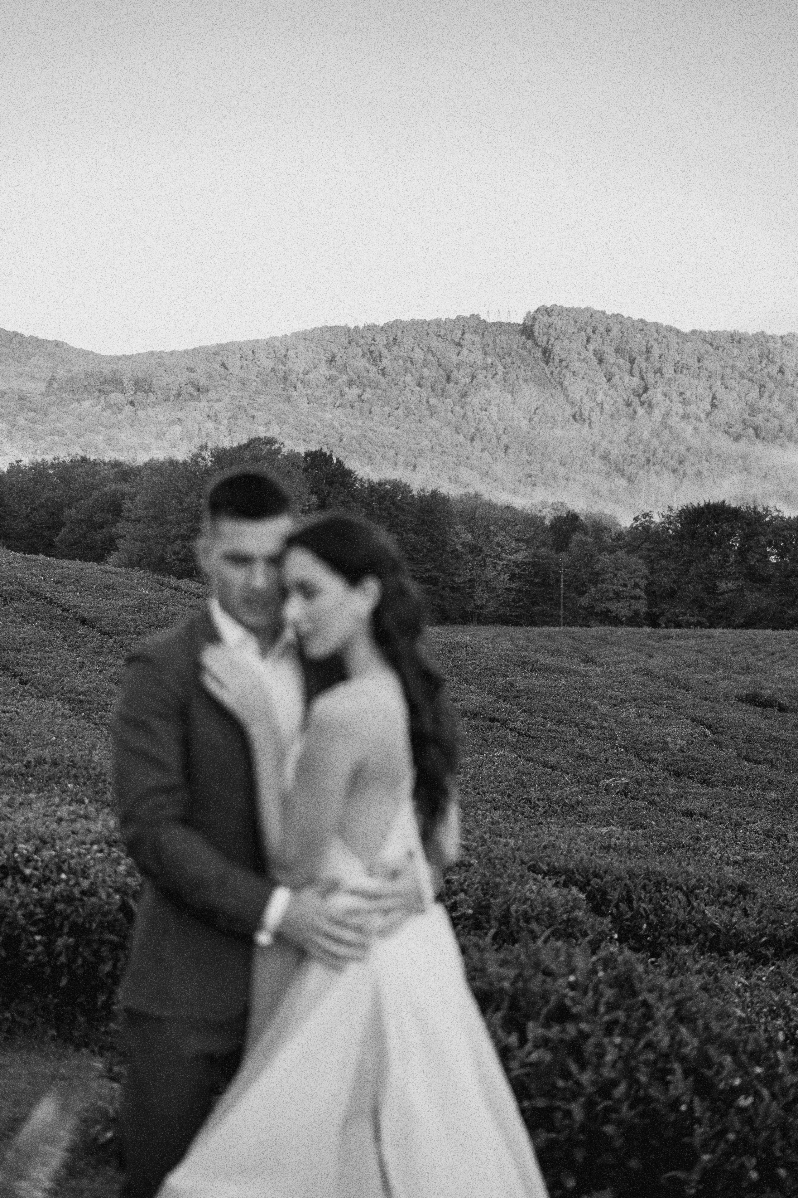 На чайных плантациях: Влад и Даша. Свадебный и индивидуальный фотограф Татьяна Гуляева