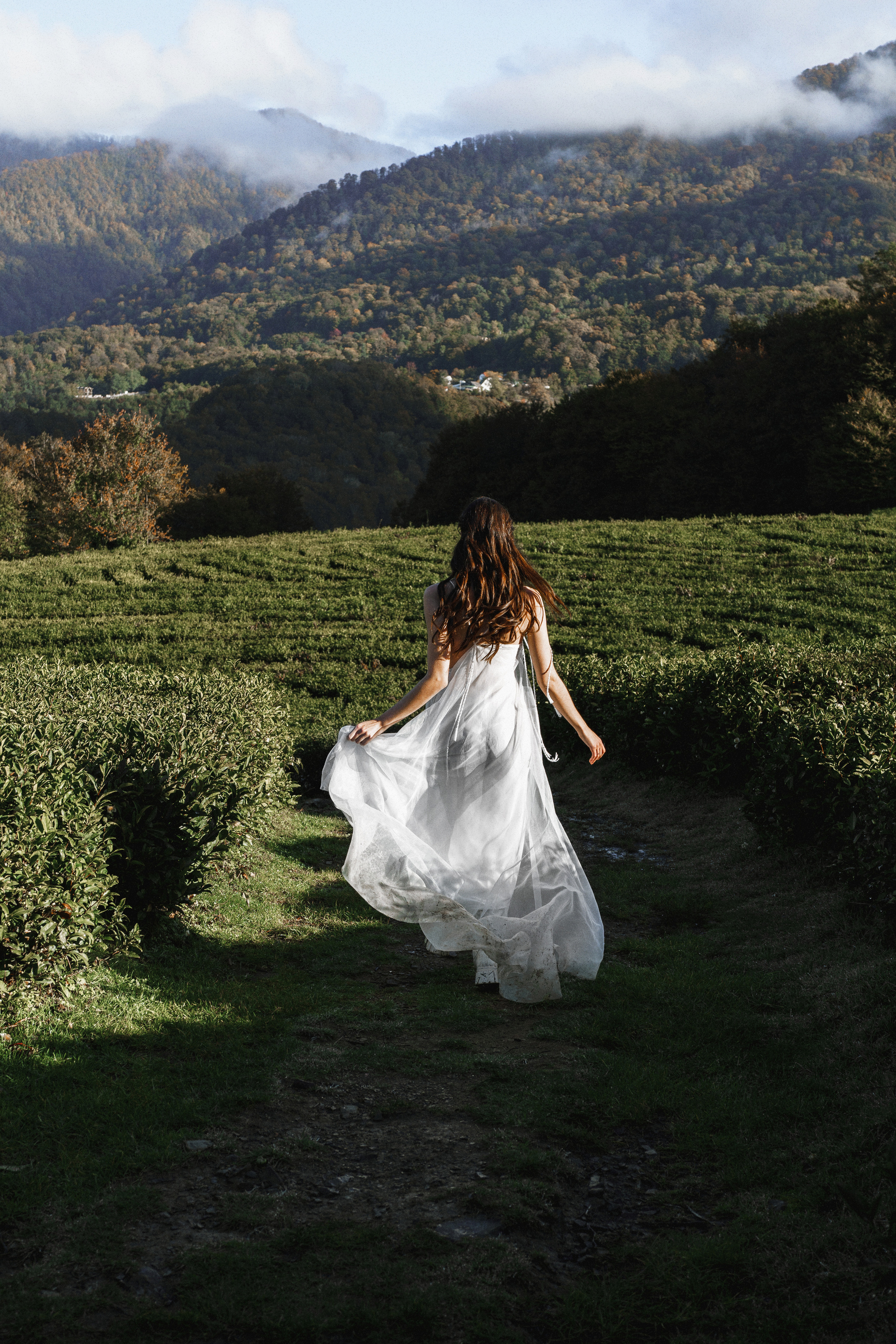 На чайных плантациях: Влад и Даша. Свадебный и индивидуальный фотограф Татьяна Гуляева