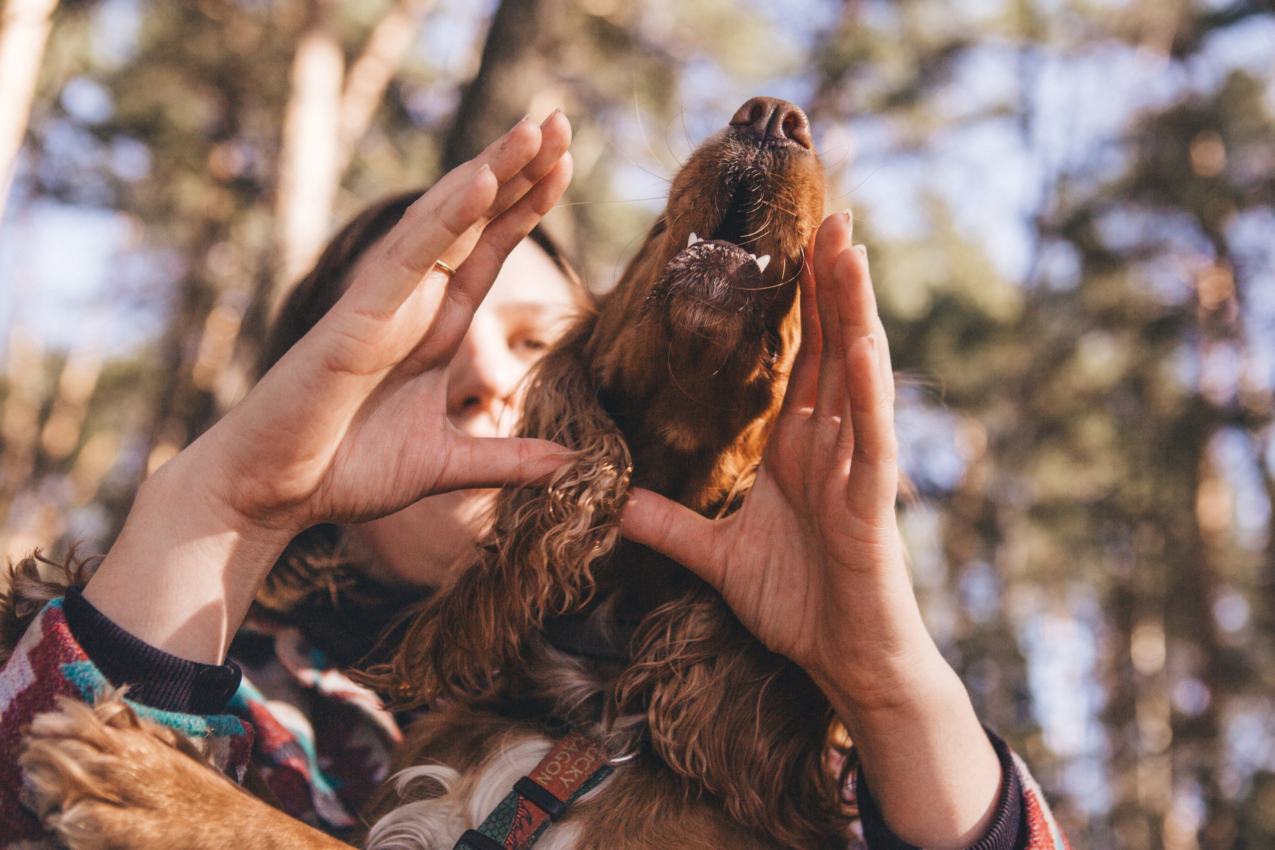 Julia & Jessie. Portrait, family and pet photographer in Cyprus, Ksenia Bourdelle