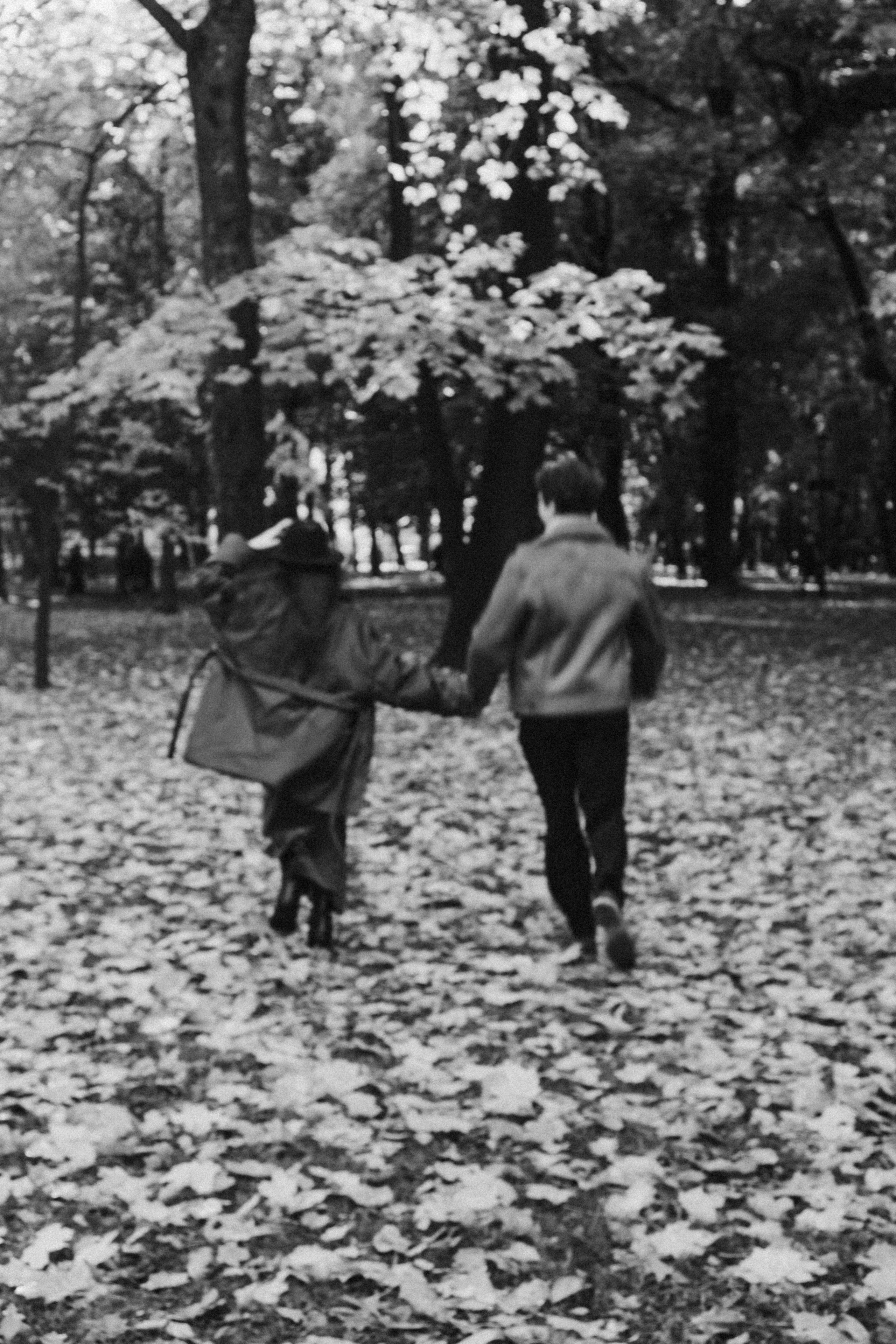 ОСЕННЯЯ ПРОГУЛКА. Профессиональный фотограф, Санкт-Петербург — Виктория Богомолова