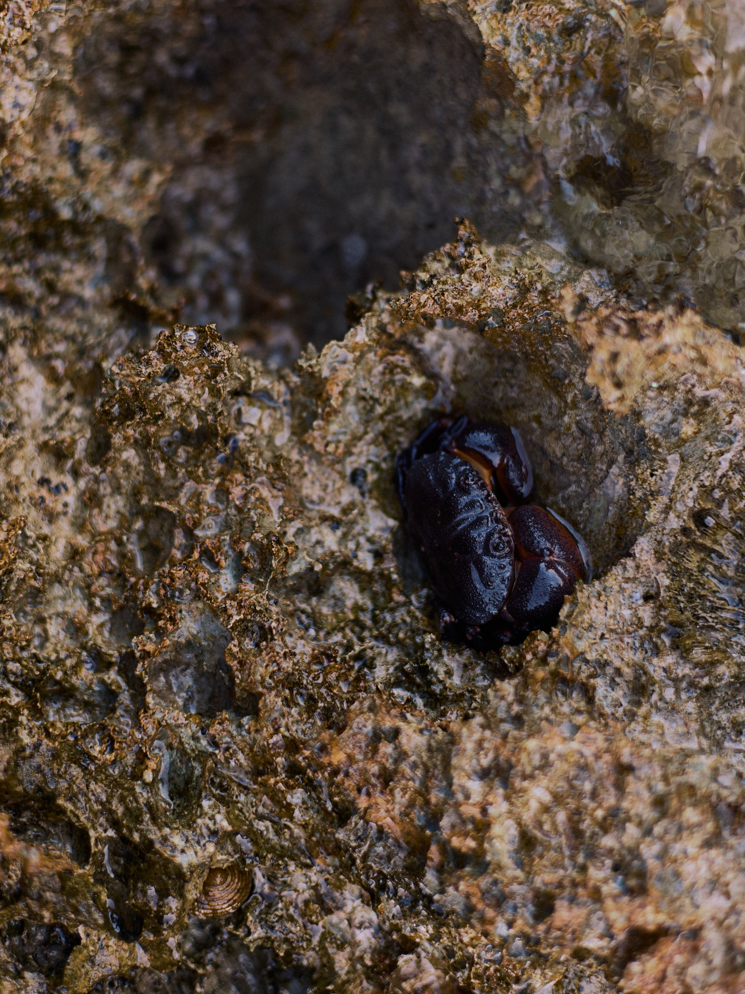 Другое 2. Jorgis Talè — photographer, kind person, teacher of arts and other mag