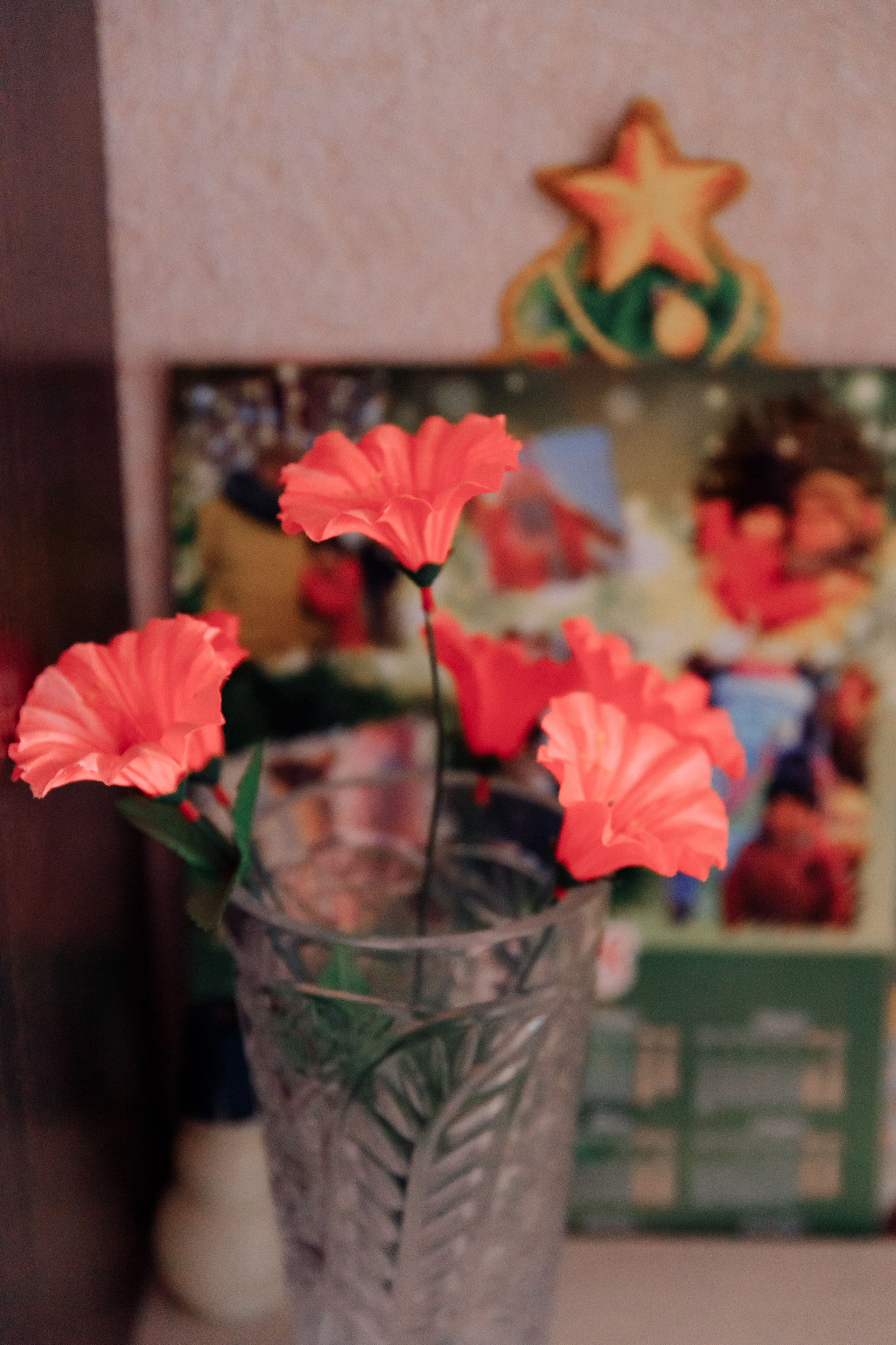 Мир Добра. Свадебный фотограф Казань Чебоксары Москва