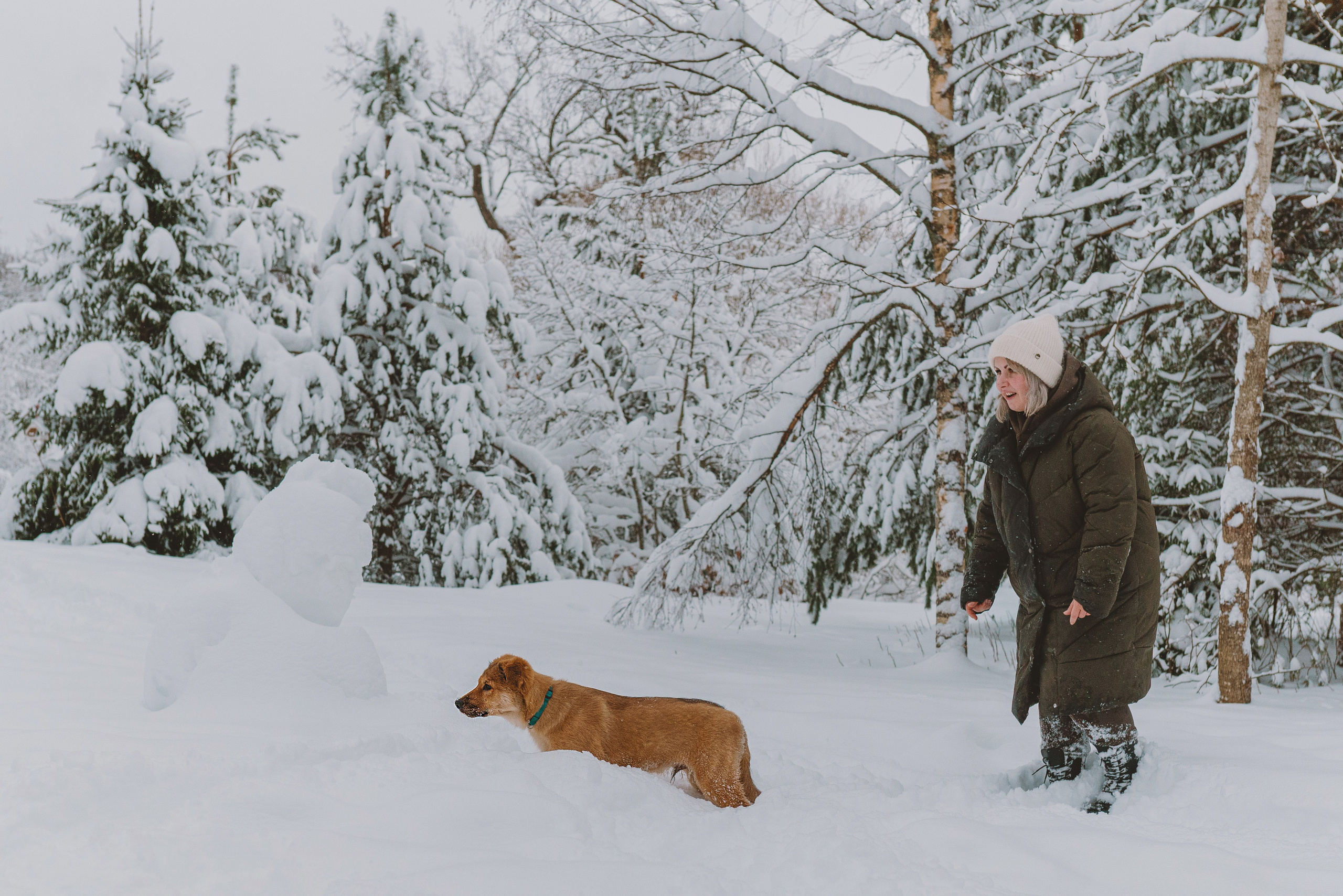 Фотосессия с питомцами на природе. Фотограф анималист в Спб недорого Олеся Майорова