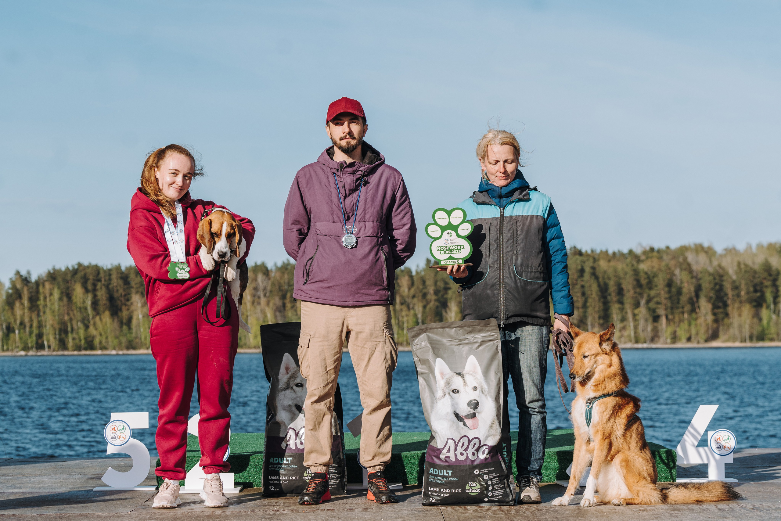 Соревнования по ноузворку в Лосево. Фотограф анималист в Спб недорого Олеся Майорова