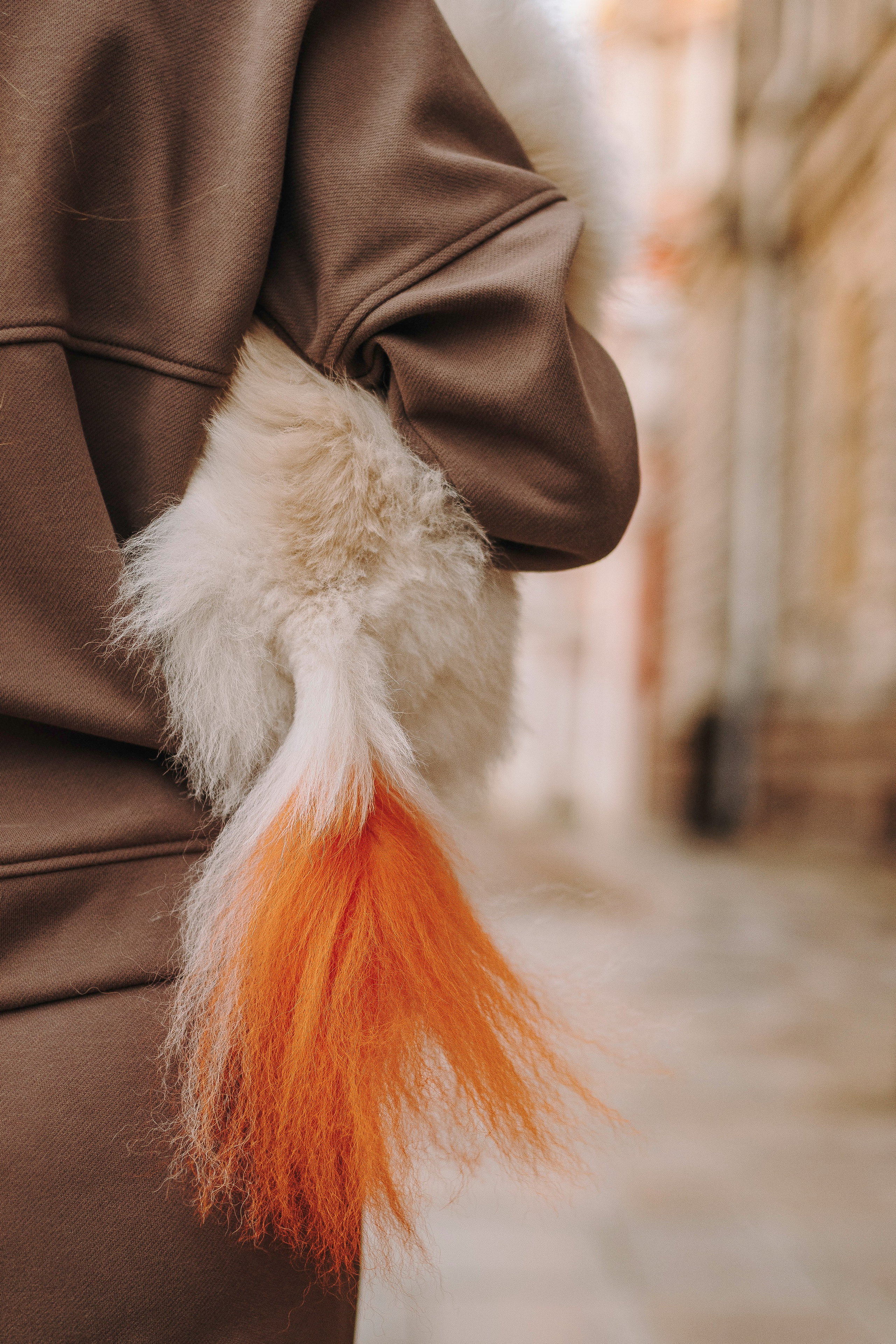 Фотосессия с померанским шпицем. Фотограф анималист в Спб недорого Олеся Майорова