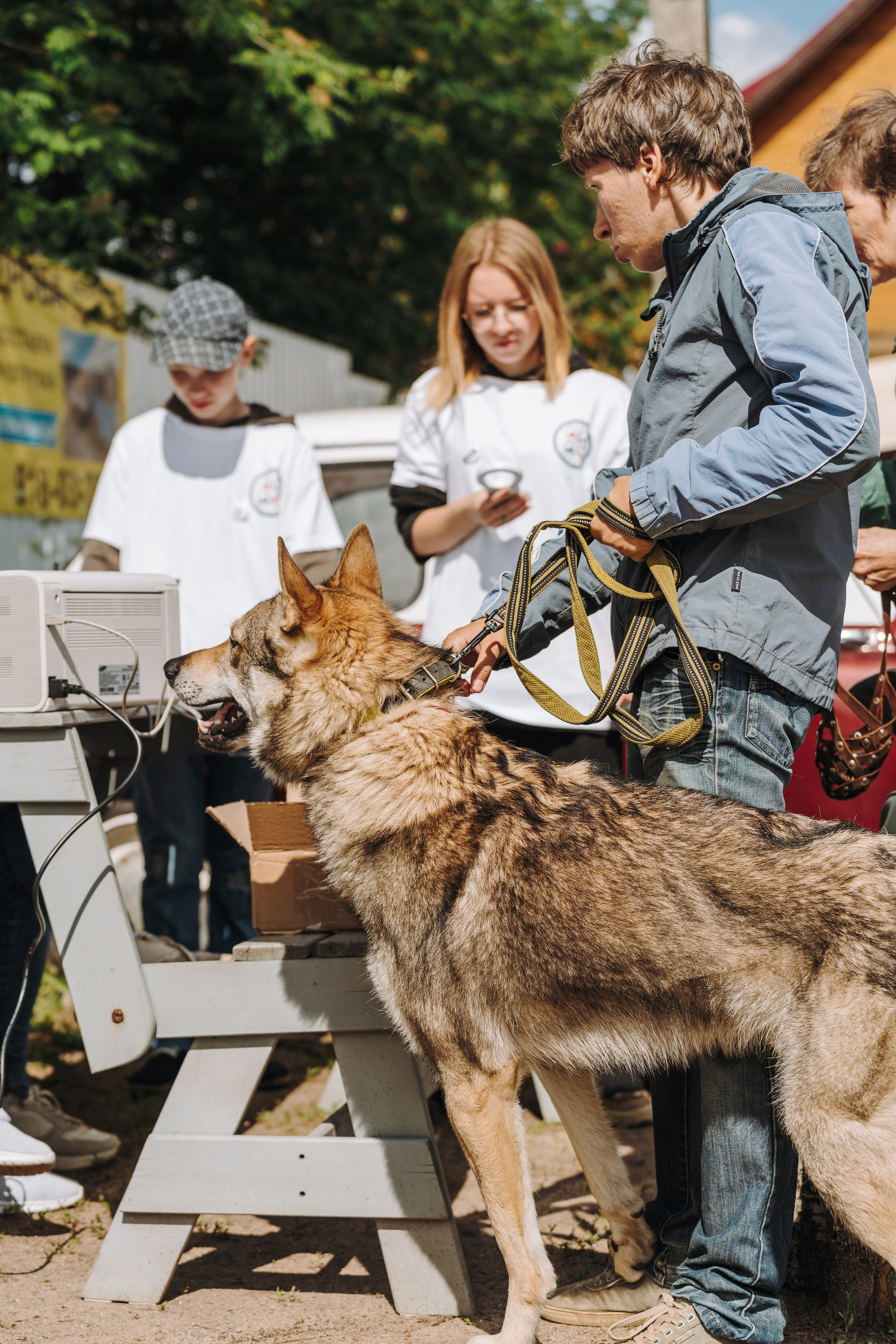 Соревнования по ноузворку. Фотограф анималист в Спб недорого Олеся Майорова