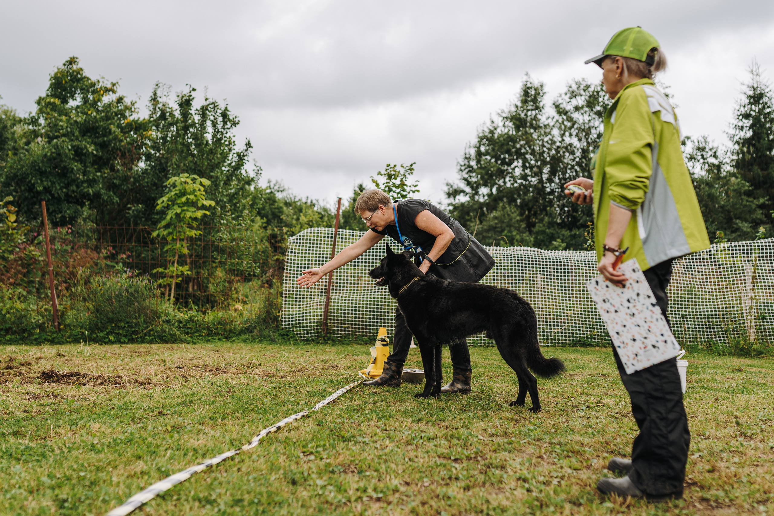 Соревнования по ноузворку в Новожилово. Фотограф анималист в Спб недорого Олеся Майорова