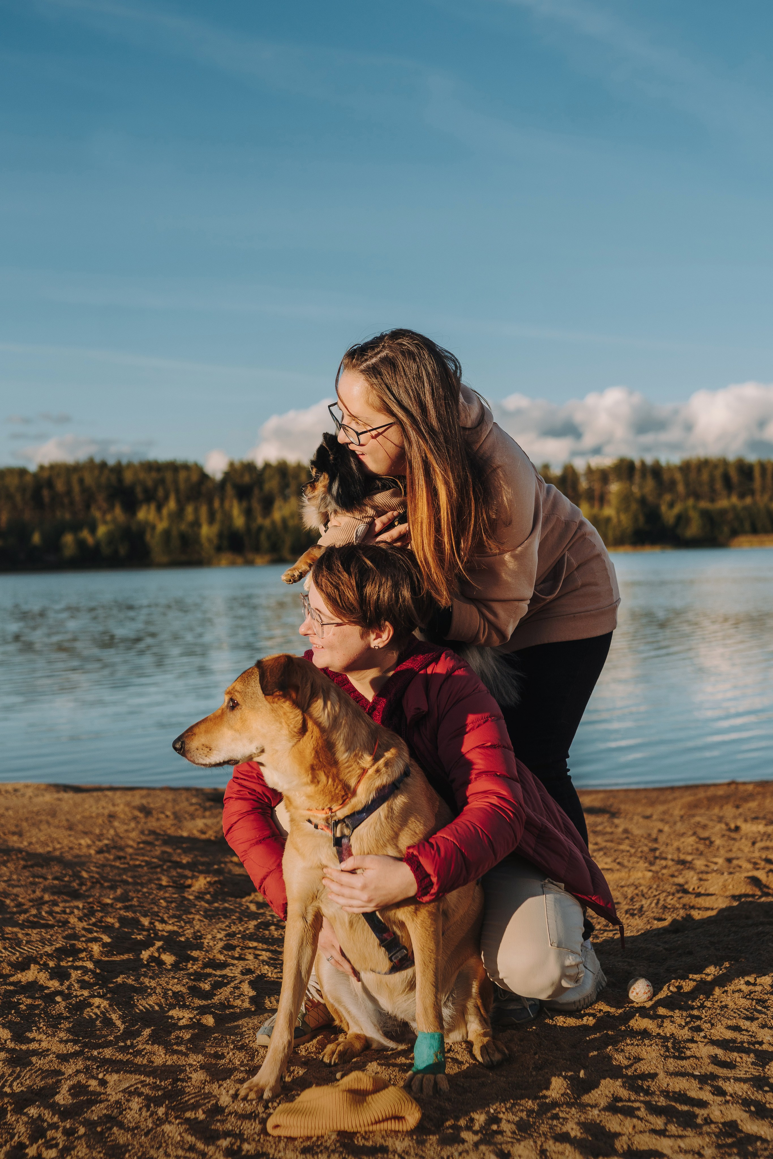 Семейная фотосессия с двумя собаками на закате. Фотограф анималист в Спб недорого Олеся Майорова